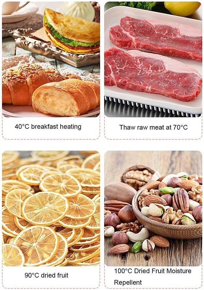 10L Mini Oven Adjustable Temperature 0-230℃ and 60 Minutes Timing Second Floor Baking Position Household Baking Multifunctional Automatic Electric Oven for Baking Cakes and Bread with Access Aestheti