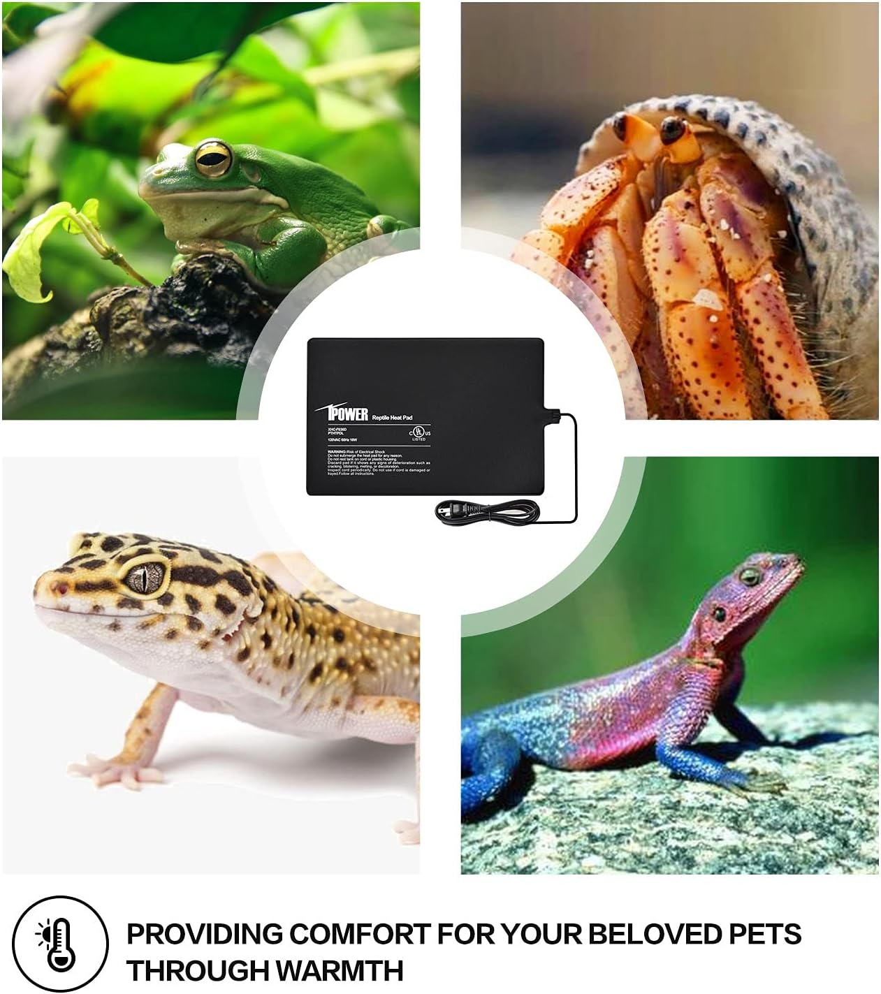 iPower 8X12 Inch Reptile Heat Pad Under Tank Heater Terrarium Warmer Heating Mat and Digital Thermostat Controller for Turtles Lizards Frogs and Other Small Animals