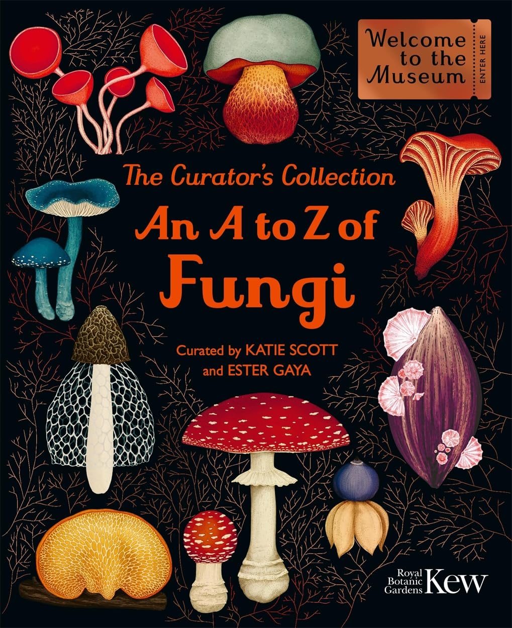 The Curator's Collection: An A to Z of Fungi: A pocket-sized Welcome to the Museum gift edition