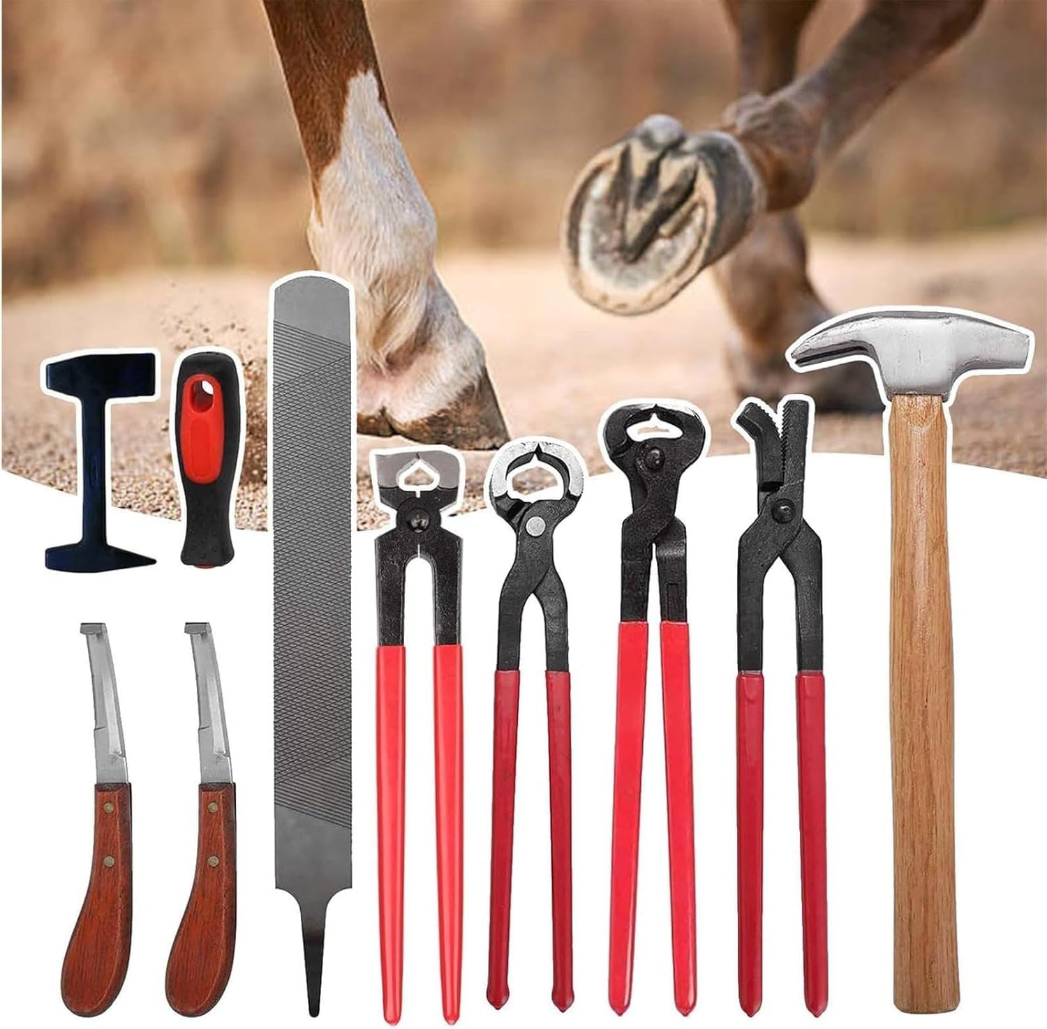 Horse Farrier Tool Kit - 9 Piece Set with Hoof Knife, Hoof Hammer, and Cutting Pliers for Hoof Care for Horses, Donkeys, and Cattle