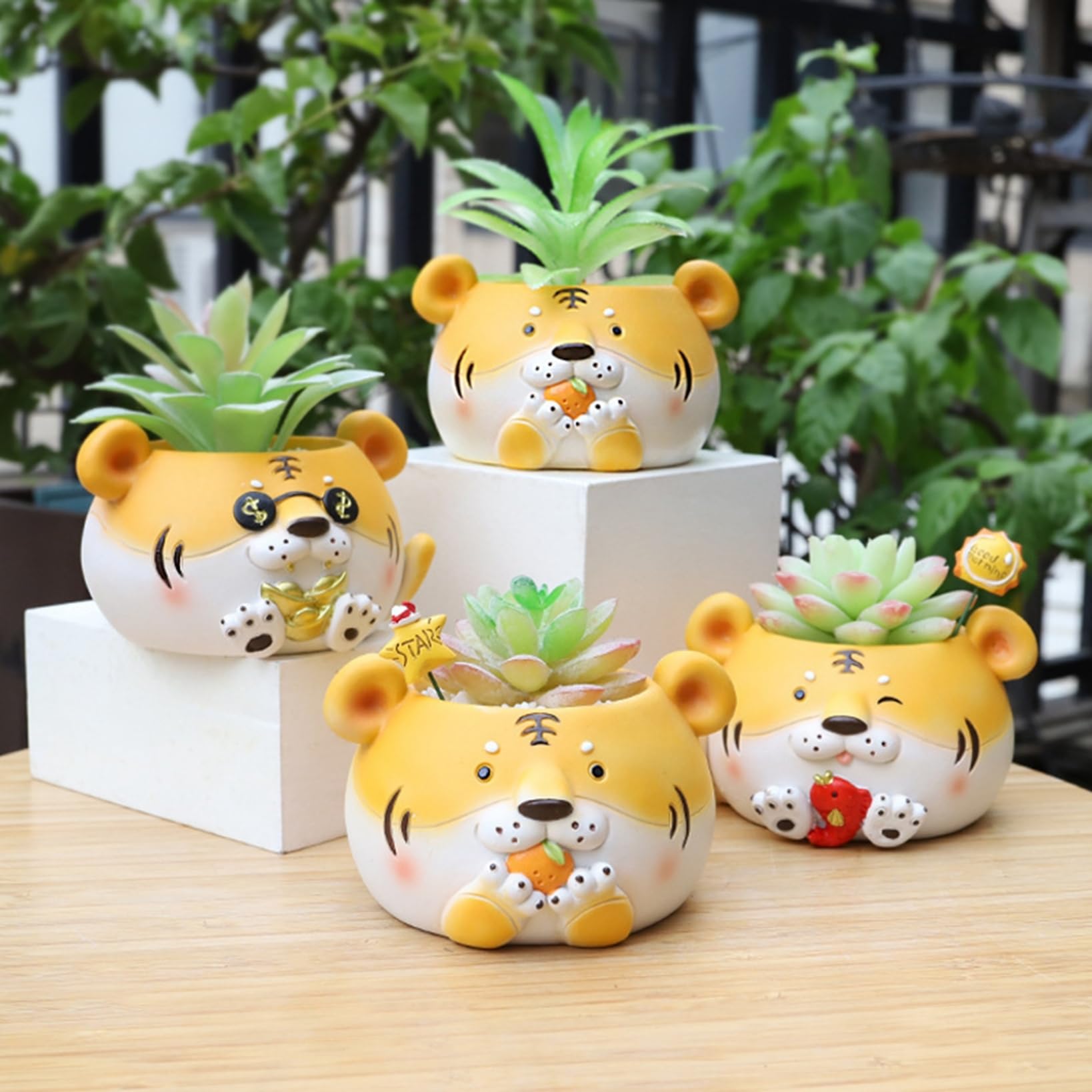 ❤️専用♥多肉植物❤️そのまま飾れる寄せ植え❤️茶トラちゃん❤️ 多肉植物寄せ植え そのまま飾れる 夏のお得セット☆* - メルカリ