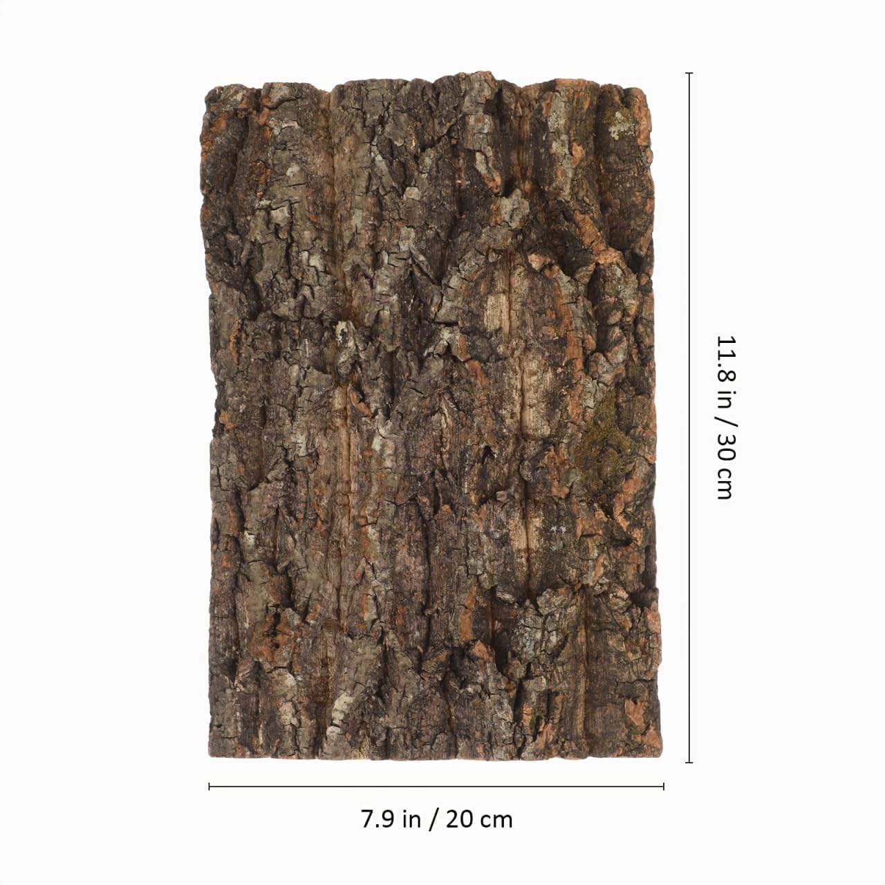 Garneck Parois arrière en écorce de liège pour terrarium 30 x 20 cm – Surface d'escalade pour reptiles