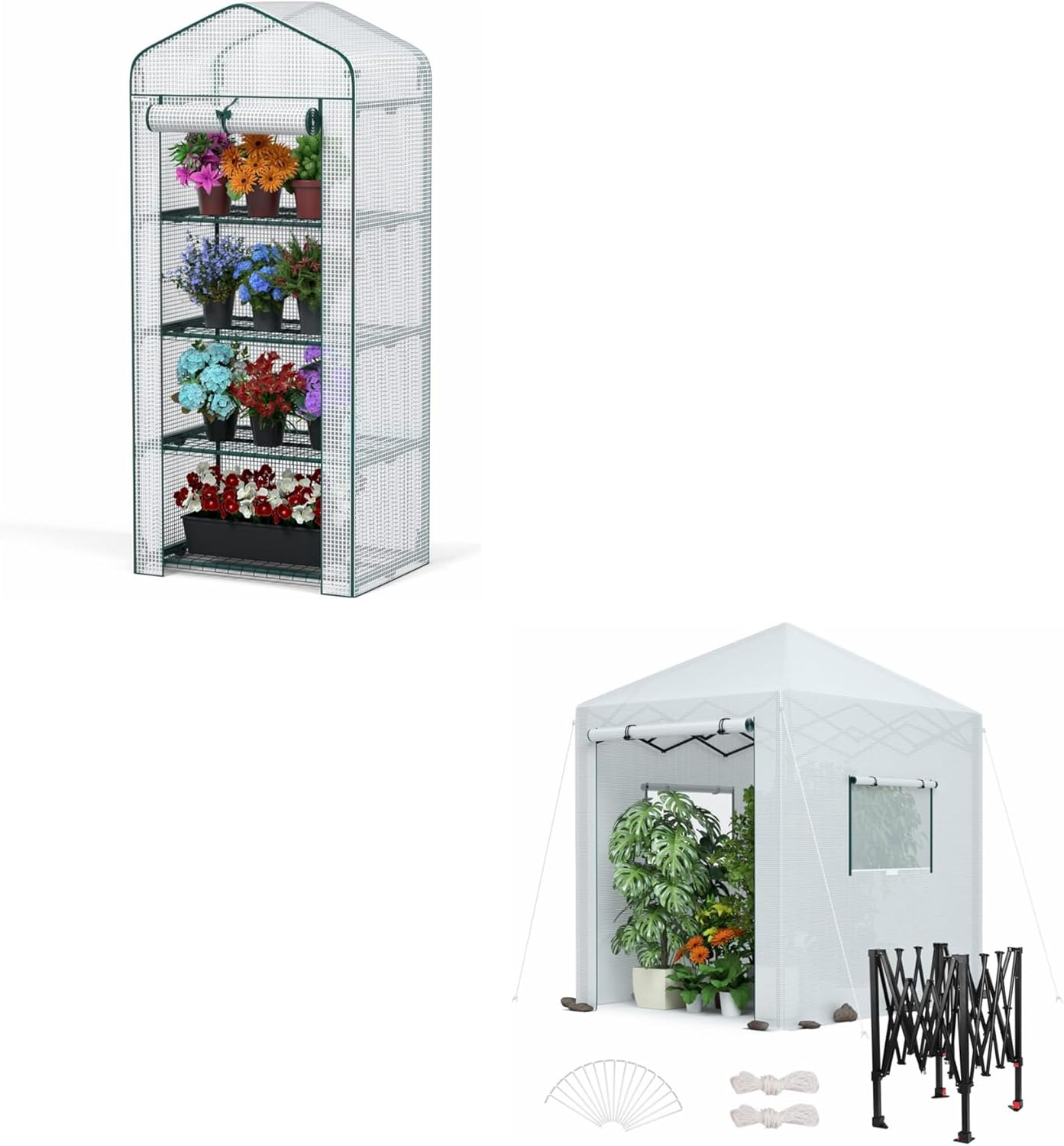 WORKPRO 4-Tier Mini Greenhouse and 8'x 6' Portable Walk-in Greenhouse