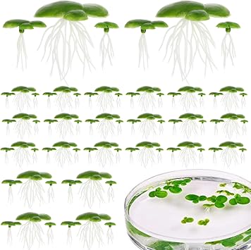 72Pcs Duckweed, Plastic Fake Pond Plants with Leaves & Roots, Floating Aquarium Plants for Indoor, Outdoor Floating Aquarium Fake Pond Weed