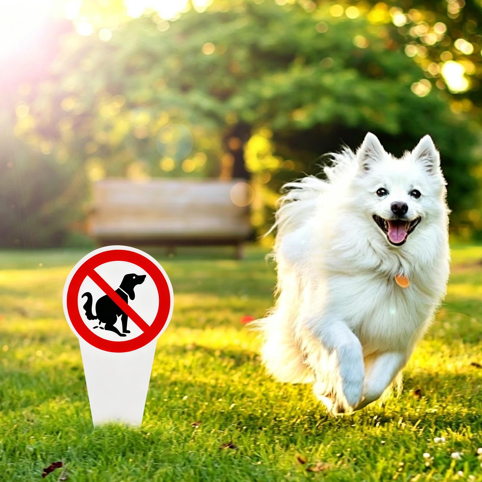 4 paneles de excrementos caninos prohibidos, señalización de PVC para jardín, césped, parque, impreso a doble cara, resistente a las inclemencias del tiempo, con estaca de fijación
