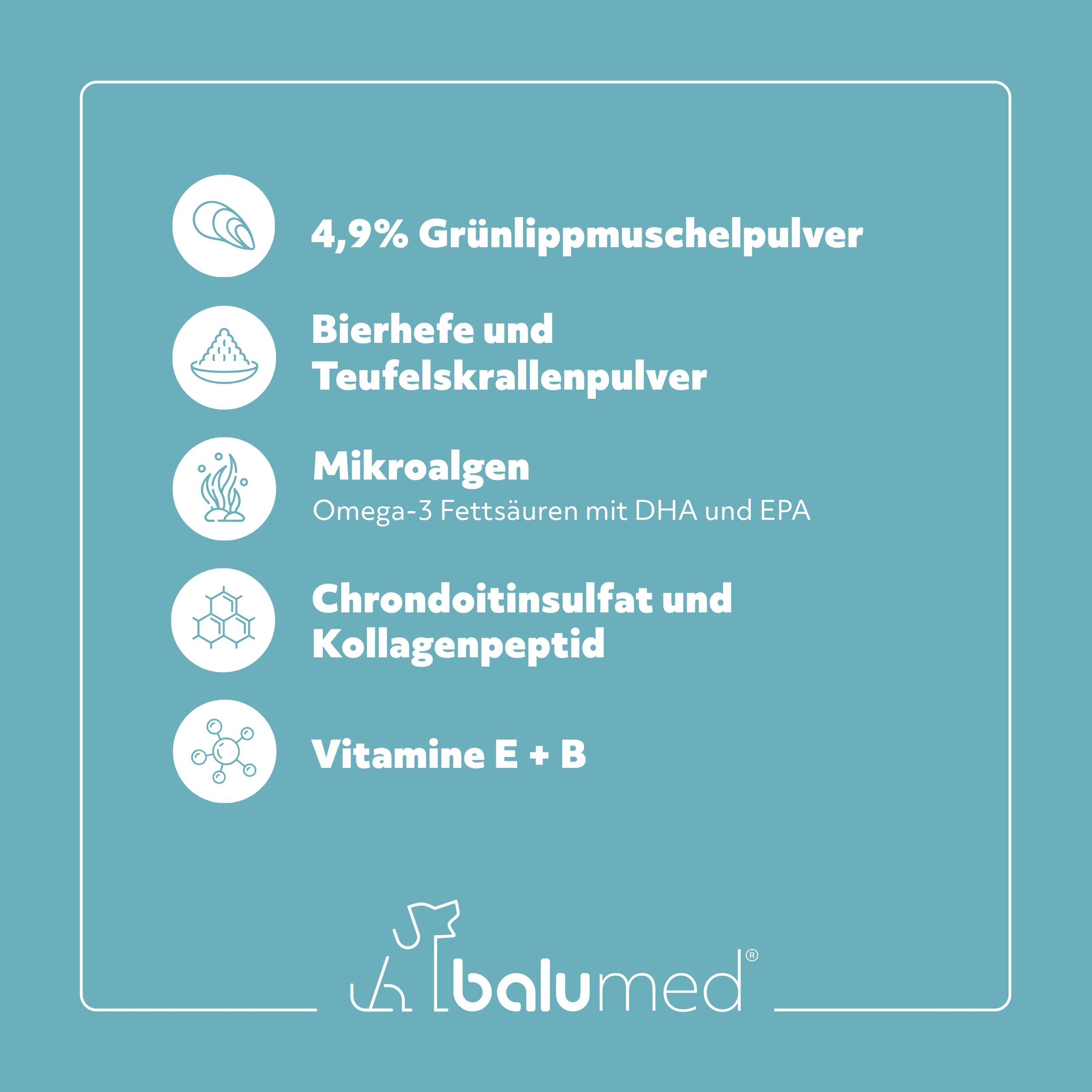 Snacks Knochen+Gelenke hochkonzentriert mit Grünlippmuschel für Hund, Leckerli mit Präbiotika, Postbiotika, Bierhefe, Teufelskralle, Chondroitin & Kollagen, Vitamine E + B, 325 g