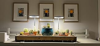 Review Image by Smith Smith