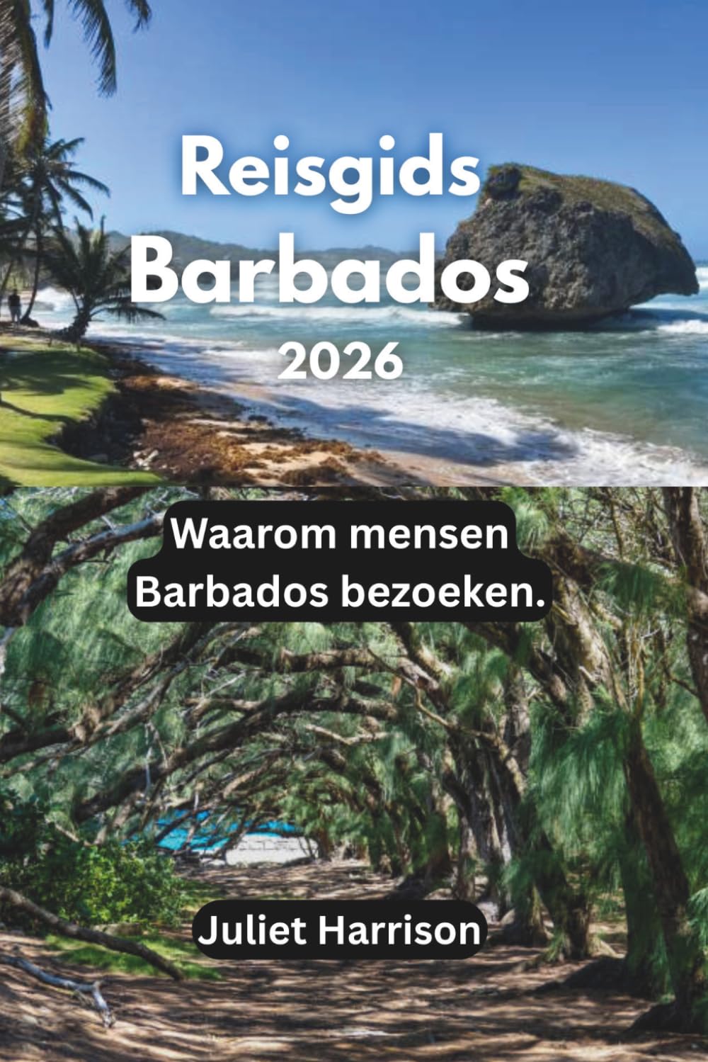 Reisgids Barbados 2026: Waarom mensen Barbados bezoeken.