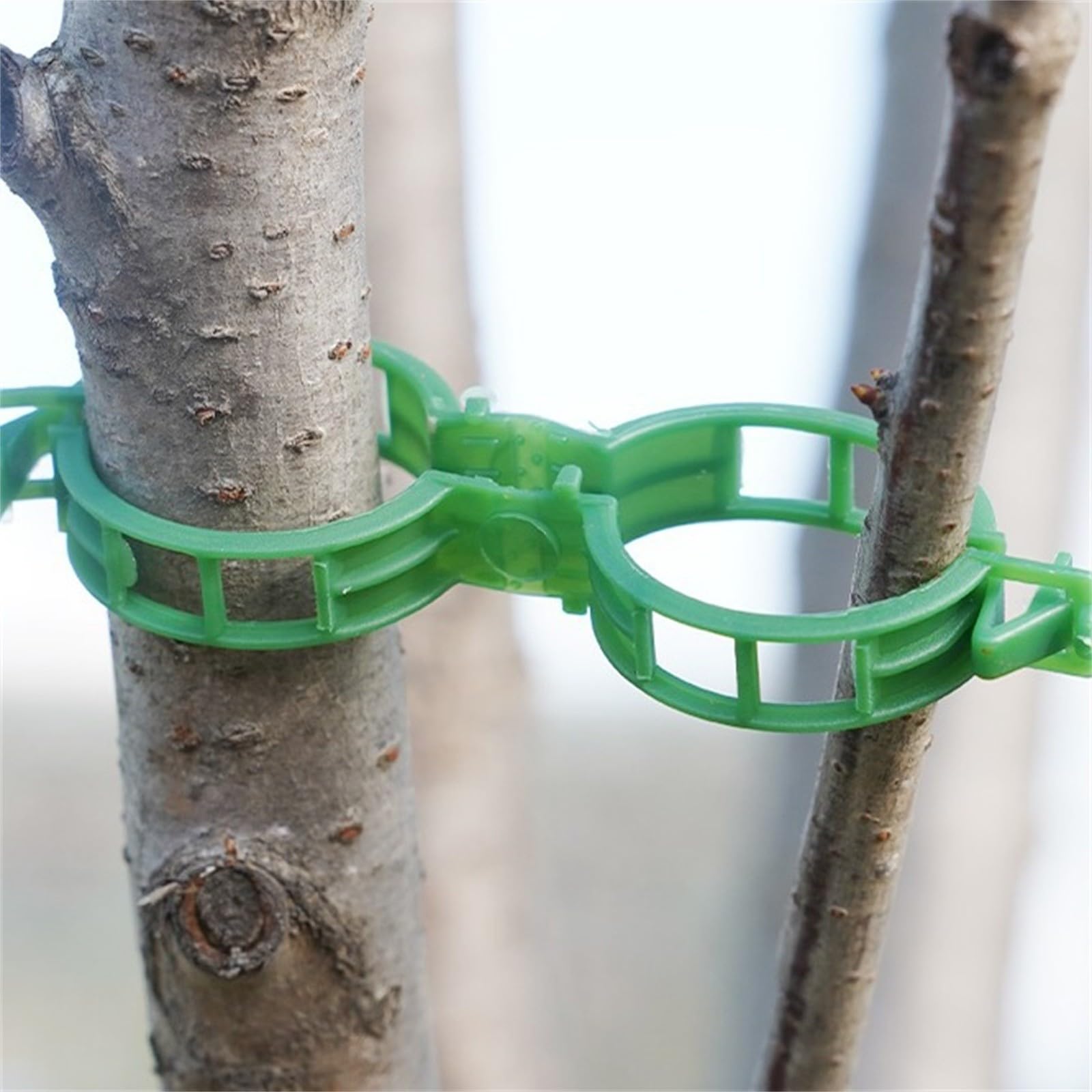 50pcs Clip per Fissaggio a Parete per Piante Rampicanti Clip per Piante