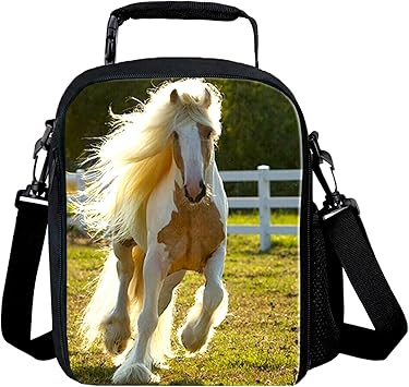 Lunch bags online amazon Clearance