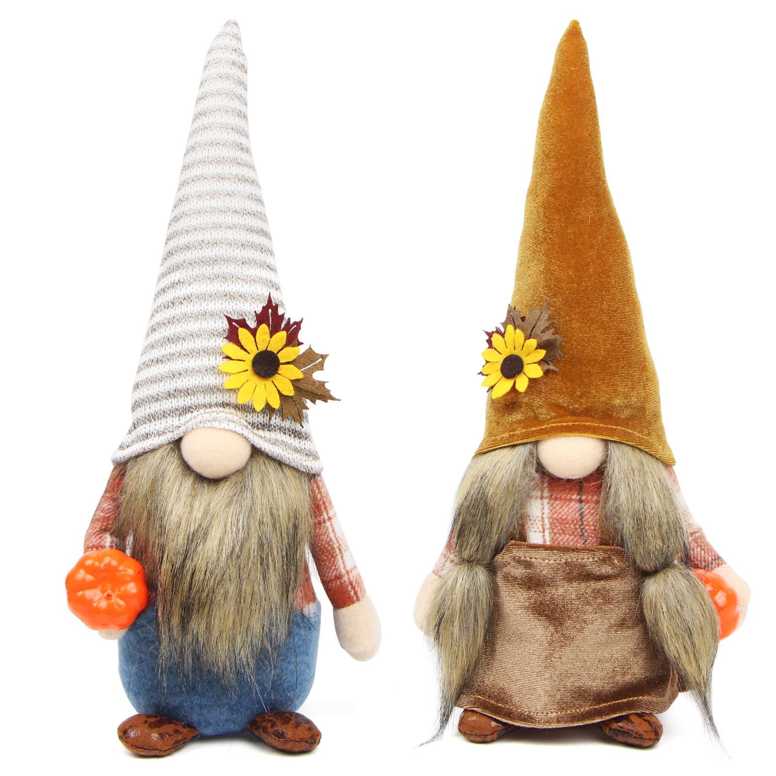 Acorn Gnomes