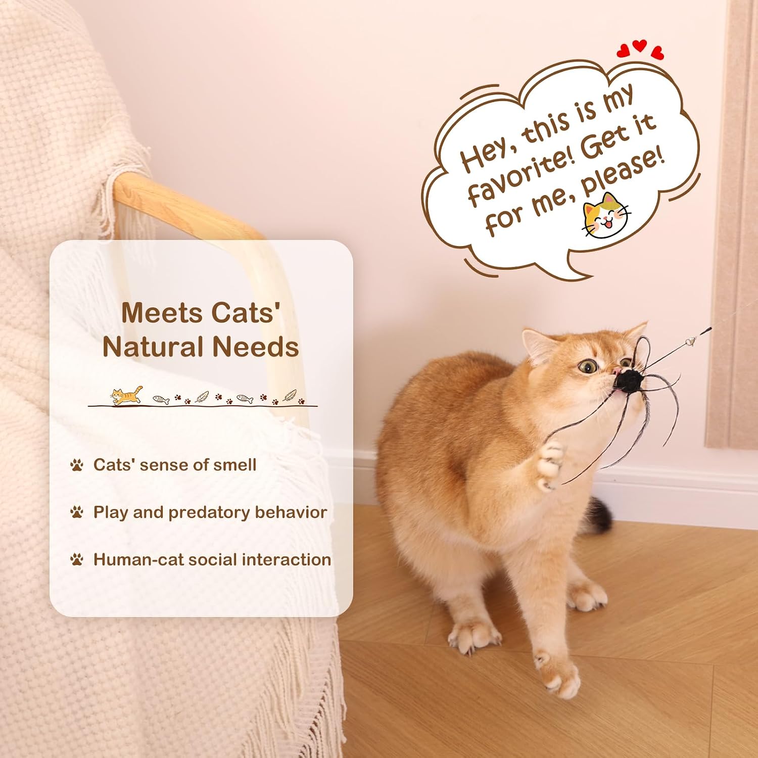 Cat Wand Toy – Retractable Wand with 4 Feather Toy Refills for Indoor Cats Enrichment, Interactive Cat Toy for Bored Adult Cats and High-Energy Kittens (BioBugs Serie 2.0)