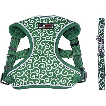 Amazon Thain ハーネス リード 小型犬 胴輪 ハーネス 小中型犬 ハーネス おしゃれ ハーネス 小型犬 人気 ハーネス 犬 用 犬リード 犬 ハーネス リードセット 犬 唐草模様 夜間反射 サイズ調節可能 S 唐草模様緑 Thain ハーネス 通販