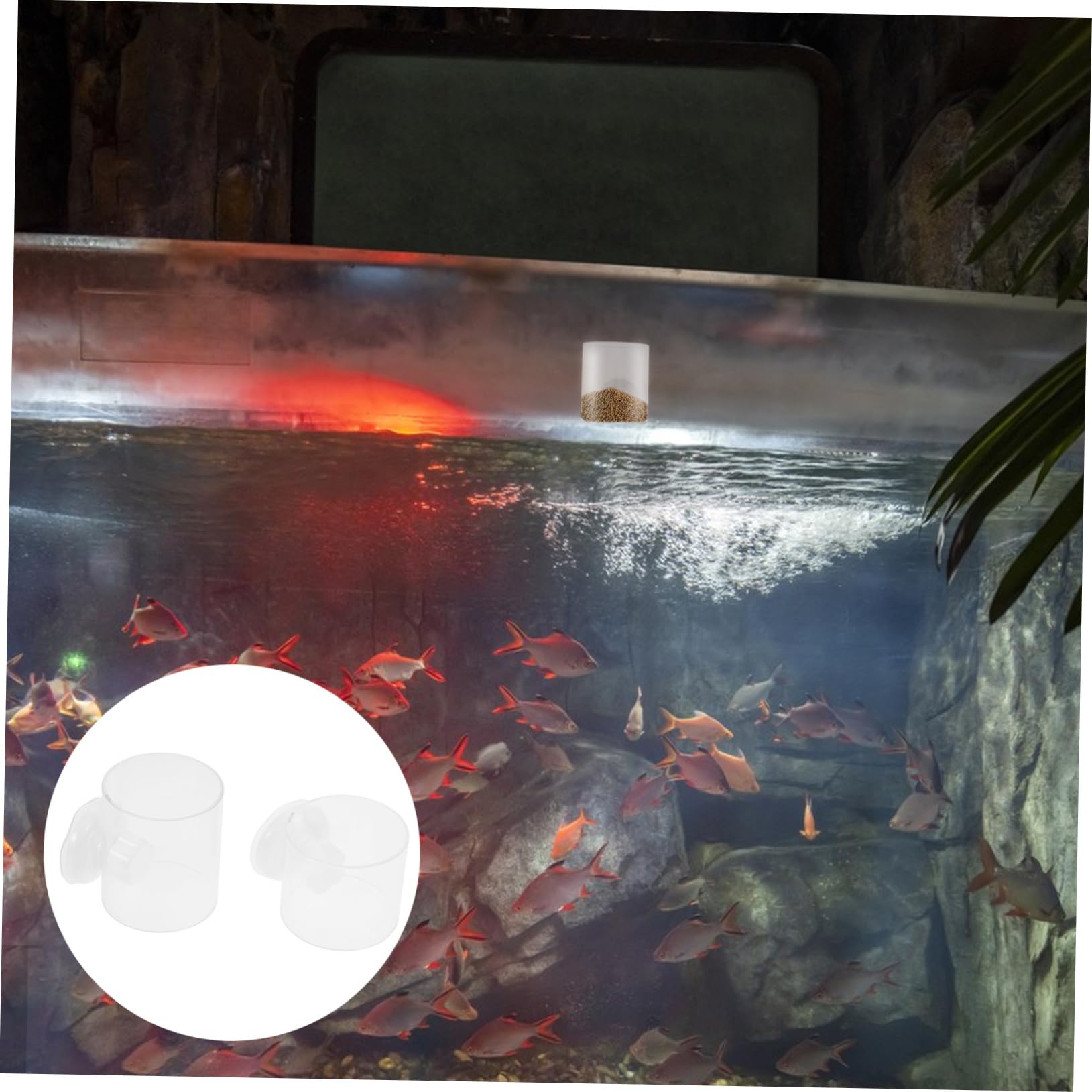 Toddmomy 10stücke Teiliges Futterring Mit Saugnapf Für Aquarien Praktischer Fischfutterspender Für Süß Und Salzwasser Zur Vermeidung Von Nahrungsverlust Im Aquarium