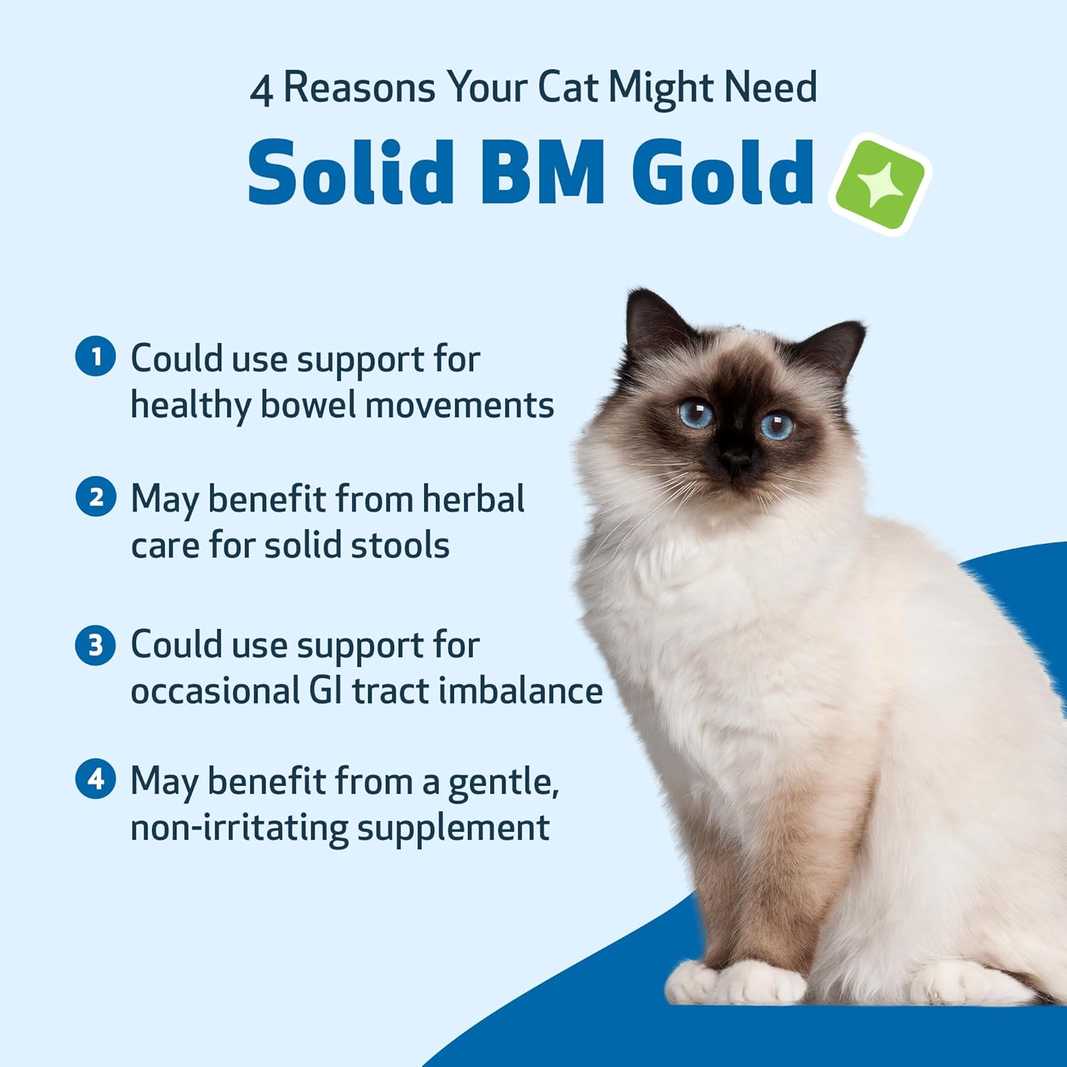 Pet Wellbeing Solid BM Gold for Cats - Supports Healthy Digestive Function, Solid Stools, Bayberry, Oregon Grape - Veterinarian-Formulated Herbal Supplement 4 oz (118 ml) (4 fl oz (118 ml))