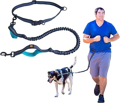 Amazon Maxileash ハンズフリー リード 快適 ウエスト 調節可能ベルト 伸縮 リッシュ 犬用 訓練しつけ 手綱 愛犬 散歩ひも 夜間安全 Maximoot しつけ用リード 通販