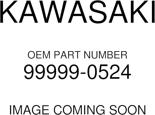 Kawasaki Kit de filtro de combustible Ninja 300 Versys X 300 Abs 2016-2018 9999-0524 Nuevo OEM