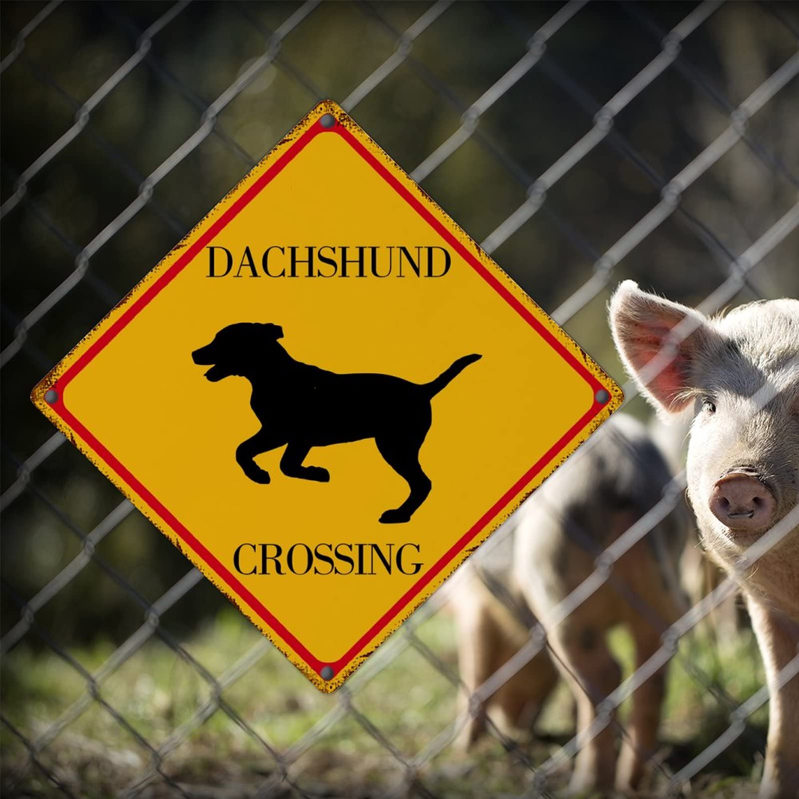 Cartel Decorativo De Metal Con Texto En Inglés "Caution Dachshund" Con Texto En Inglés "Dachshund Xing", Letrero De Advertencia De Precaución Para Colgar En La Calle O Al Aire Libre