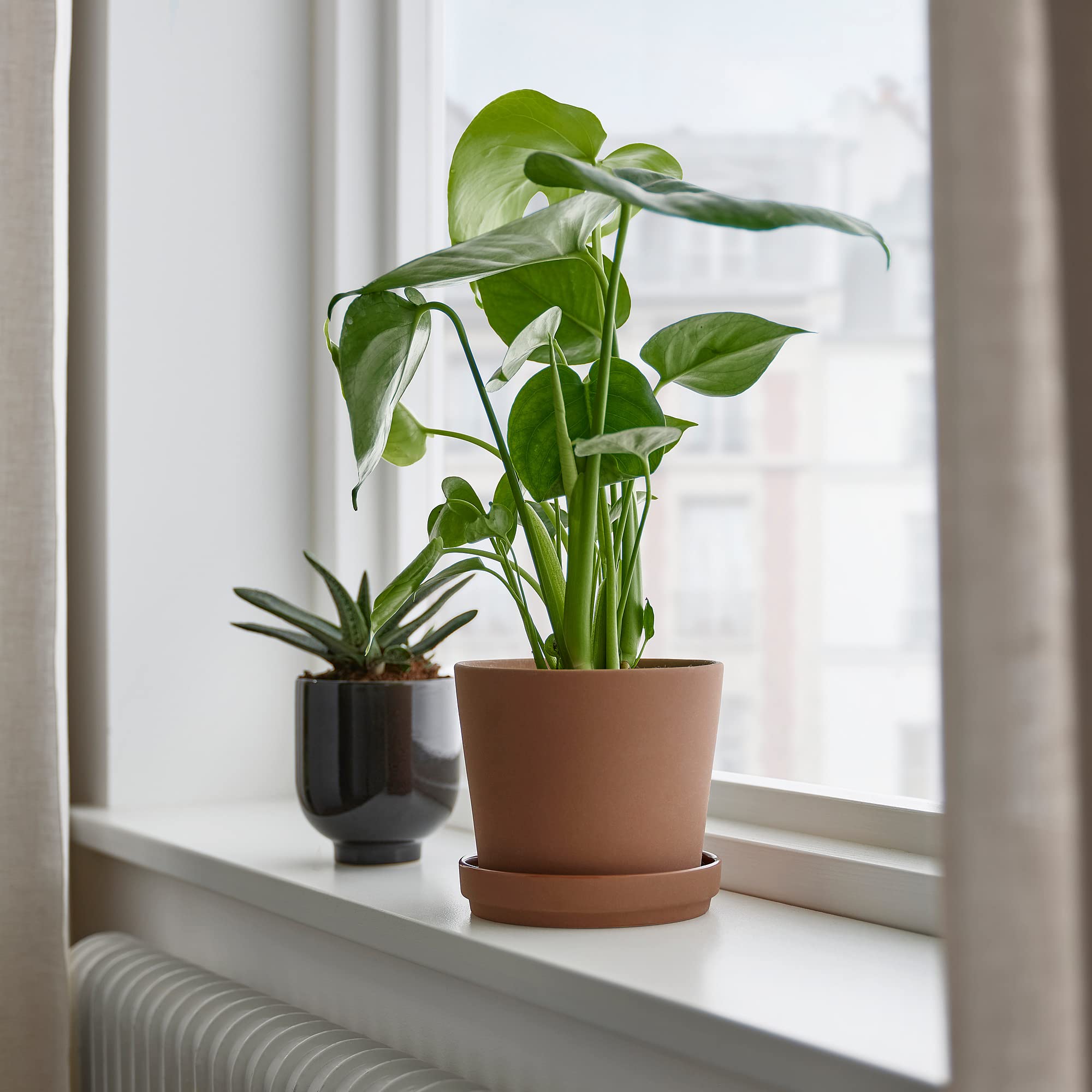 Ikea KLARBÄR Vaso per piante con sottovaso, 12 cm, interno/esterno, marrone