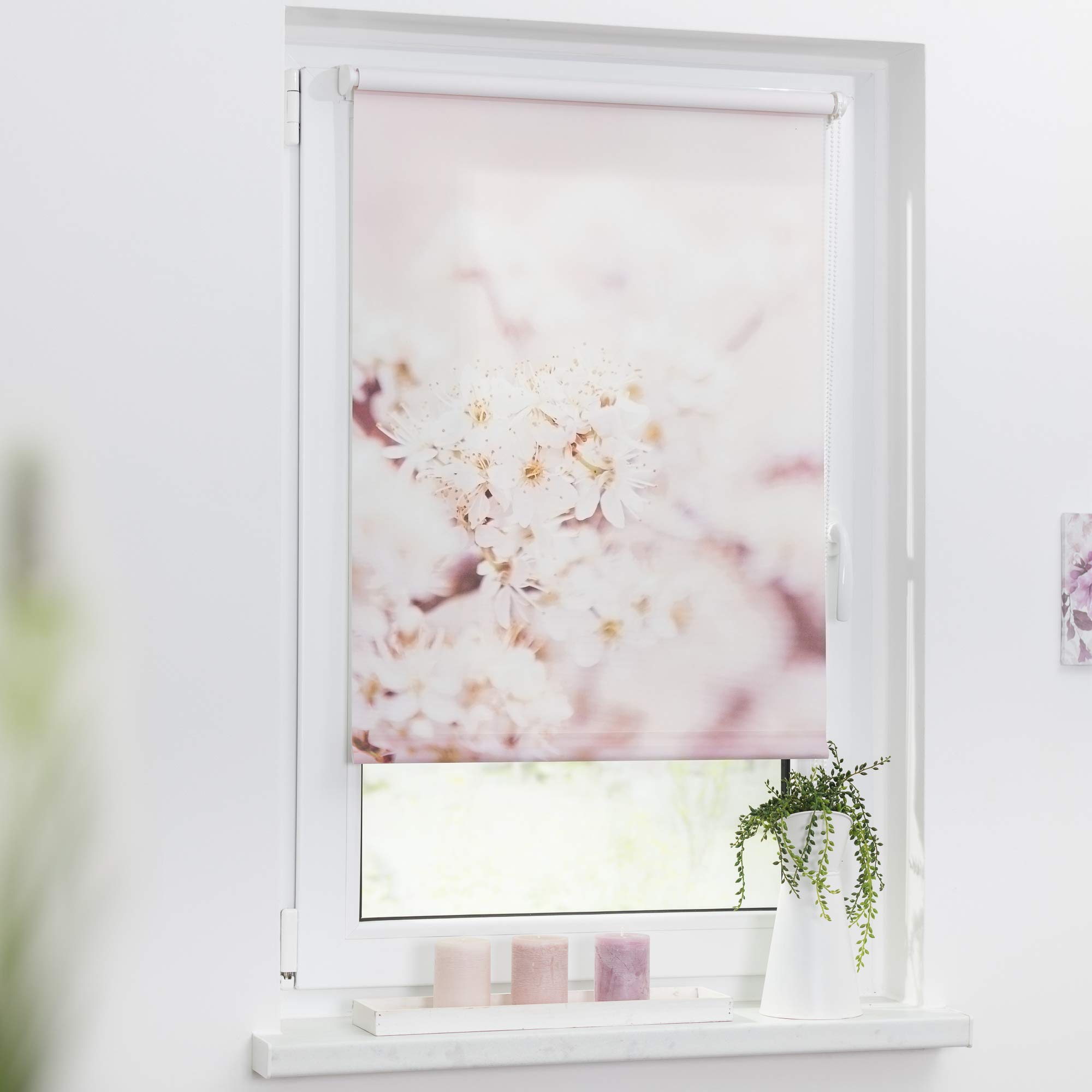 Lichtblick Klemmfix Tageslicht-Rollo mit Motiv, ohne Bohren, Blickdicht, Seitenzugrollo, Made in Germany, Kirschblüten - Rosa Weiß 60 cm x 150 cm (B x L)