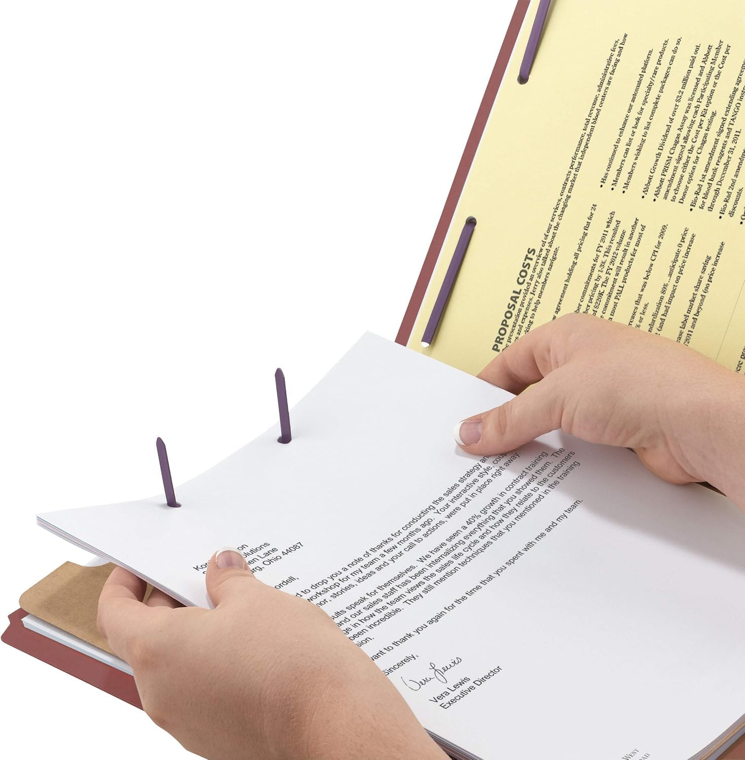 Smead Endlasche Klassifizierungsmappe, Brief, gerade, 1 Trennwand, 10 pro Box (26855)