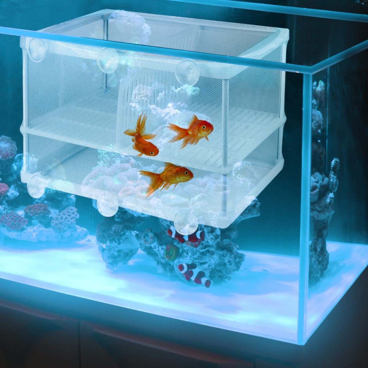 Mikikit Portable Fish Breeding Isolation Box with Floating Separation and Acclimation Compact White Plastic and Cloth Net Tank Hatchery for Aquarium and Fish Tank Use