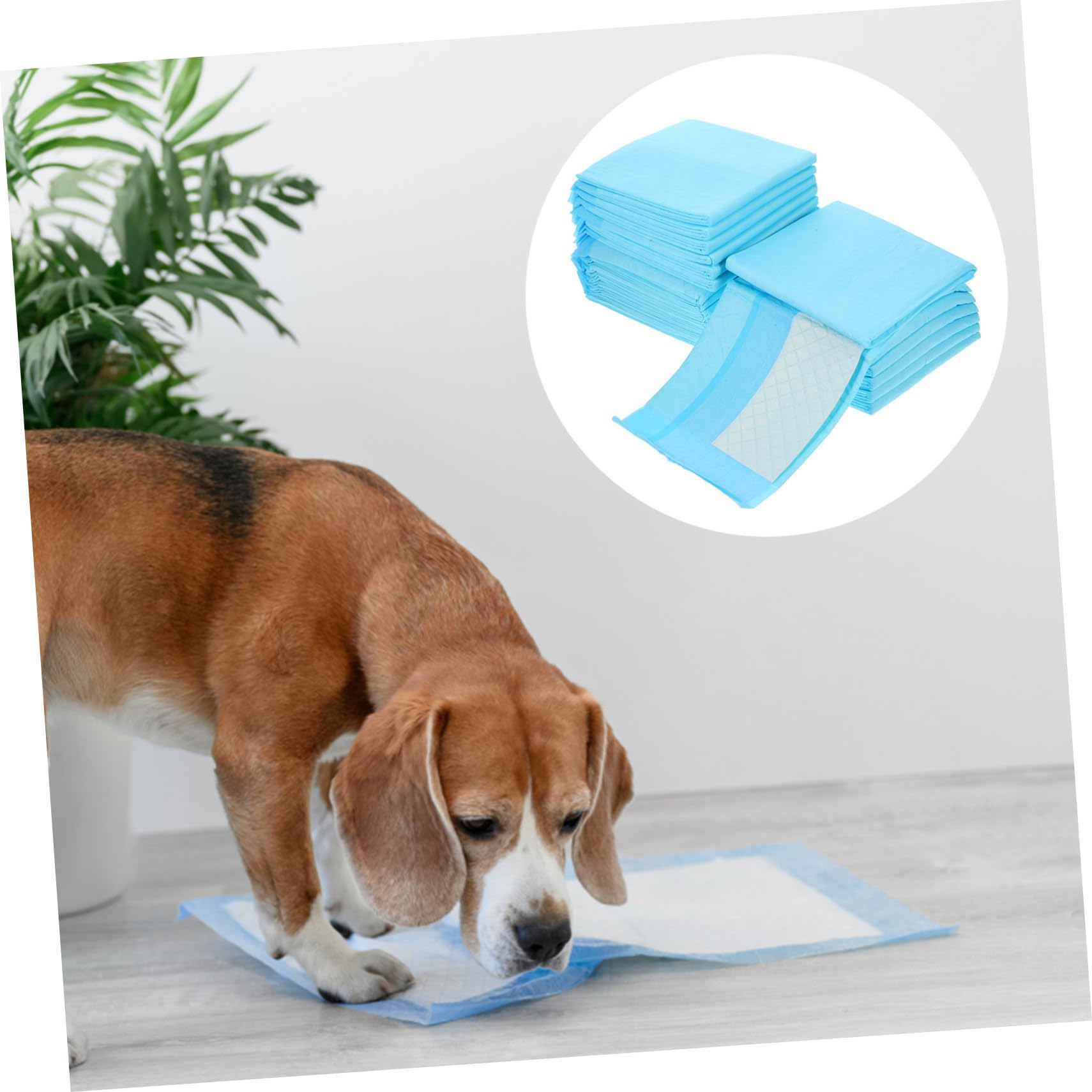 Beavorty 40pezzi Tappetini Assorbenti Per Traversine Igieniche Super Assorbenti e Impermeabili Per Addestramento e