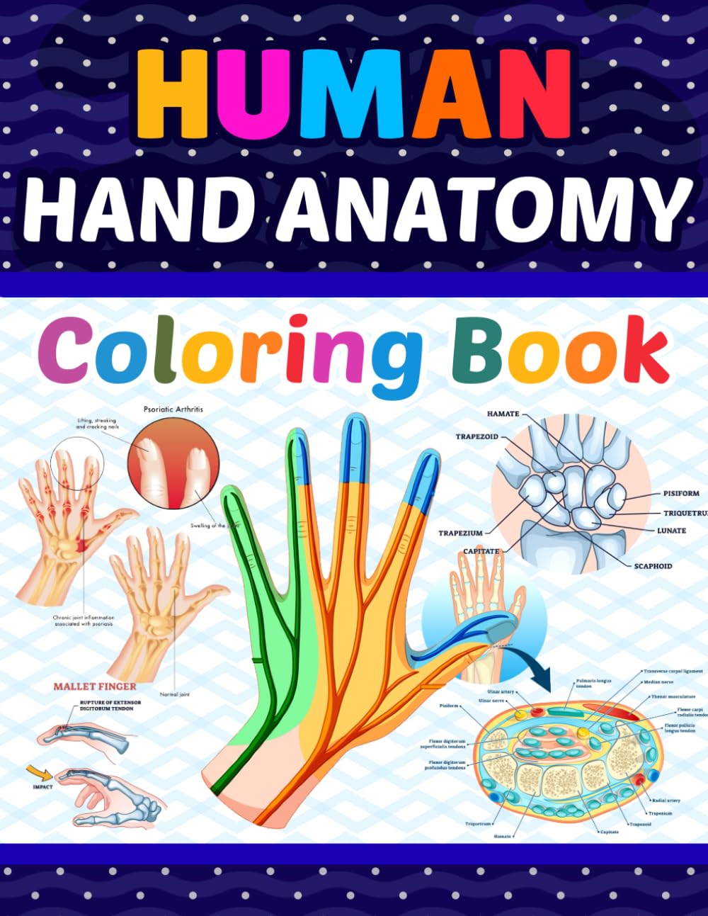 Human Hand Anatomy Coloring Book: This Will Be Very Helpful To Learn About Human Hand Anatomy In Detail. It Will Be Great For Human Anatomy Students ... For Children To Learn About Hand Anatomy.