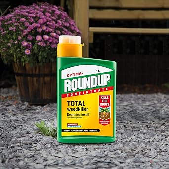 Roundup Optima+ Concentrate 1L | Systemic Root-Killing Weedkiller for Paths Drives & Patios | Visible Results in 4 Days | Replant in 7 Days | Treats up to 1500m² | 1 Litre Liquid