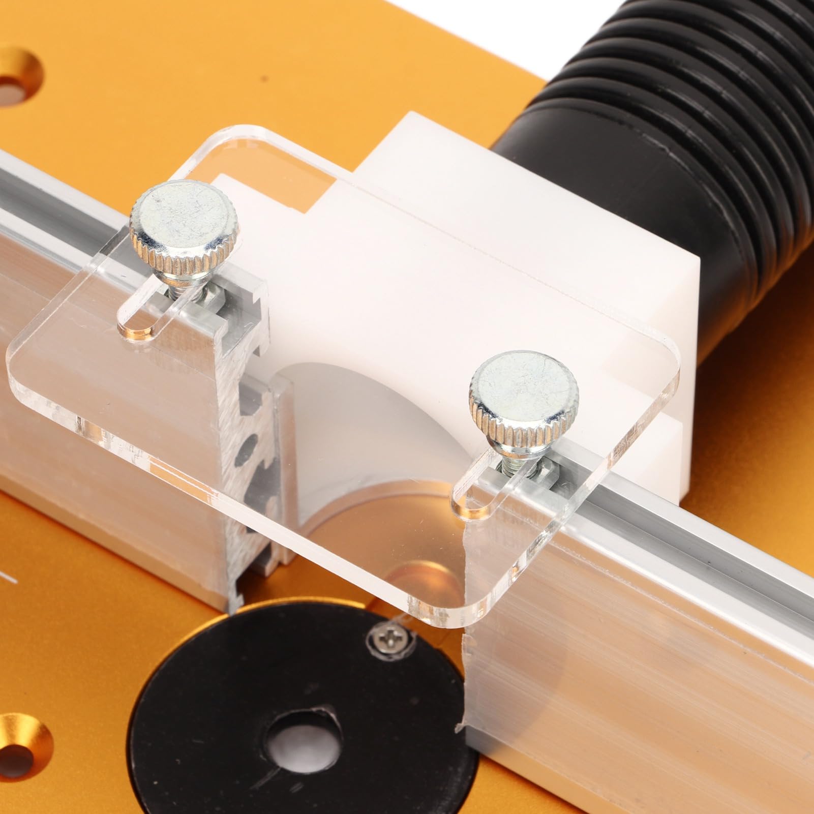 Placa de Inserción para Carpintería, Portaobjetos de Vidrio Transparente para Microscopio, 10 Piezas con Muestras para Tejidos de Animales, Insectos y Plantas, Adecuado para