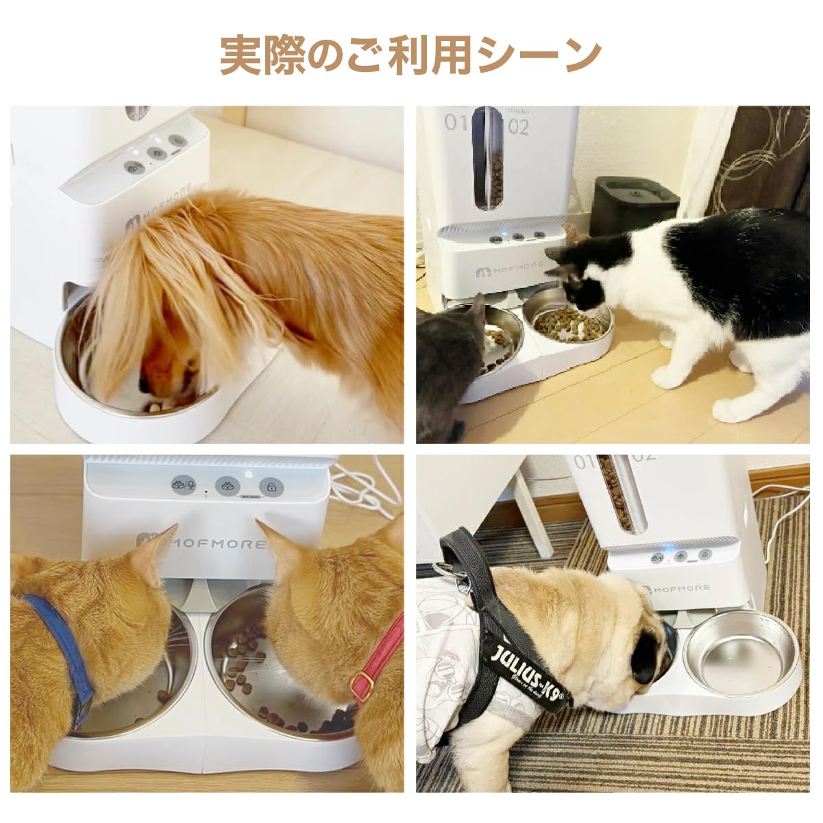 Amazon | 2種類出せる MOFMORE 自動給餌器 猫 犬 2匹 音声録音 5L大