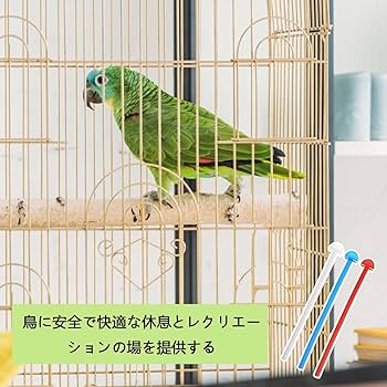 Amazon | PAVIKE プラスチック鳥かご止まり木 オウム鳥立ちスティック