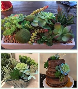 Pack of 17 Artificial Succulents Succulent Faux Succulent Floral Arrangement Picks Hanging String of Pearls Plant Three Dimensional Decoration Combination Flocking Realistic Succulents Plants