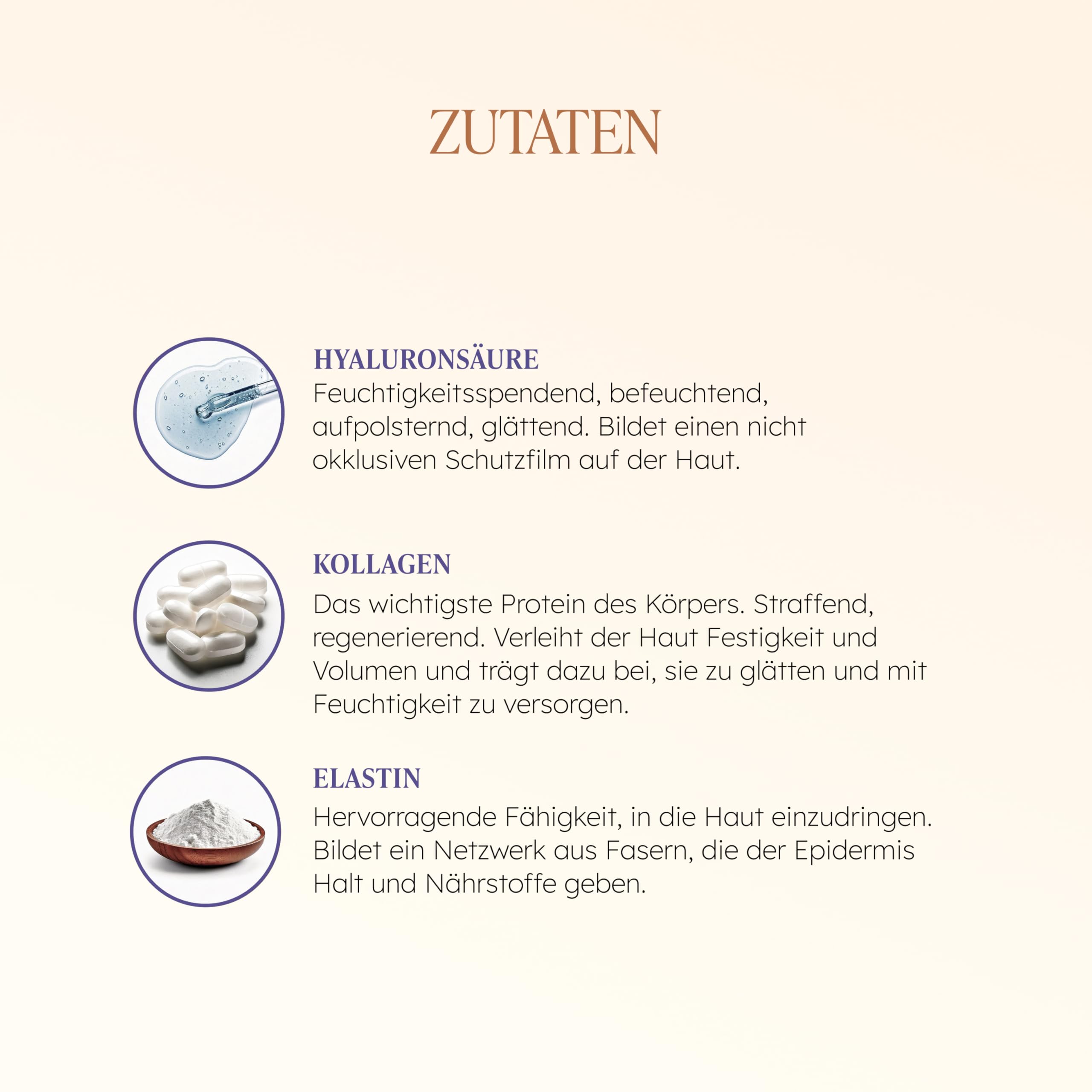 TAAJ | Die Creme der Königin - MAHARANI | Leistungsstarke Anti-Aging-Wirkstoffe | Revitalisiert und aufgepolstert, die Haut ist sichtbar jünger | 50 ml