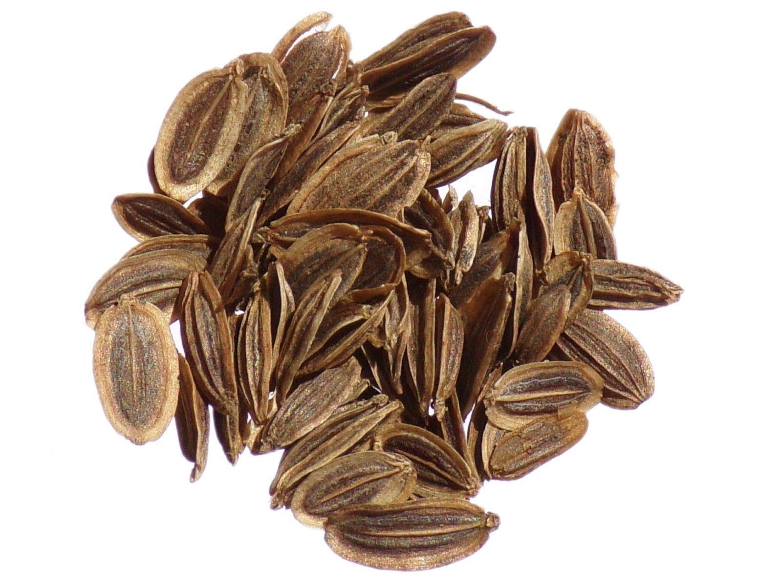 FASH Lady Semi Pacchetto: 0.50 mi: Officinal Dill - Anethum graveolens L. - Dill - Sem02