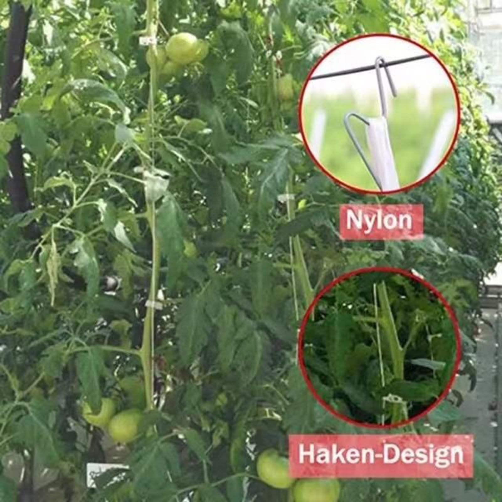 Pflanzenclips zur Unterstützung, Tomatenpflanzungs-Sets, multifunktionale Befestigung, Veredelungsklemme für Zuhause, Garten, Gewächshaus, professioneller Bauernhof