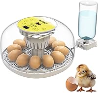 Okkobi M12 Automatic Egg Incubator: Chicken, Quail, Duck Eggs Turner, Humidity Control, 12-24 Capacity, 360° View