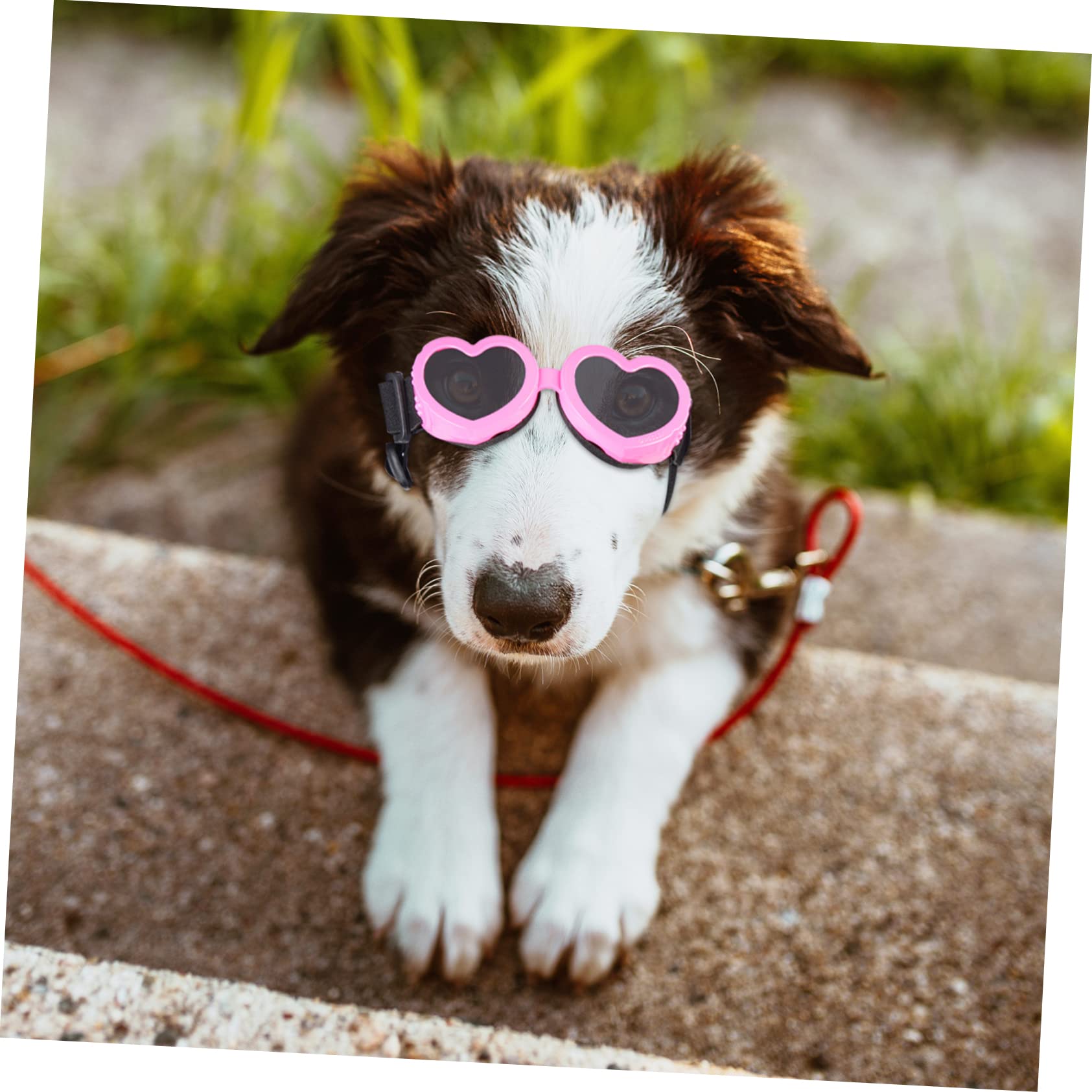 BESPORTBLE 4 Pz Occhiali Per Animali Domestici Pieghevole Cagnolino Occhiali Protettivi Da Sole Pieghevoli Per Cani a Cuore Da Sole Uv Pc Impermeabile Rosa