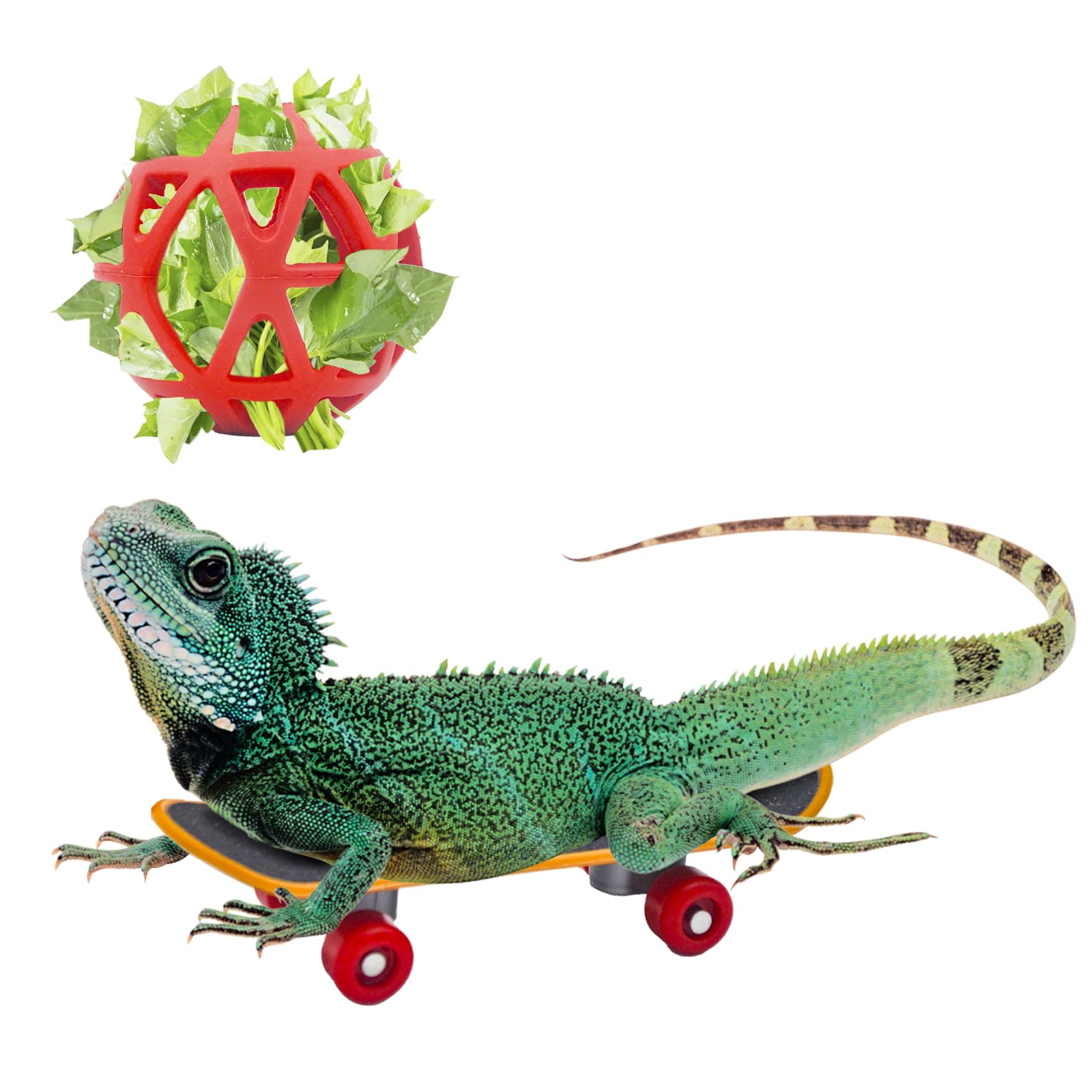 Amazon.co.jp: Doblopup カメ スケートボード リアルタートル用 ミニ