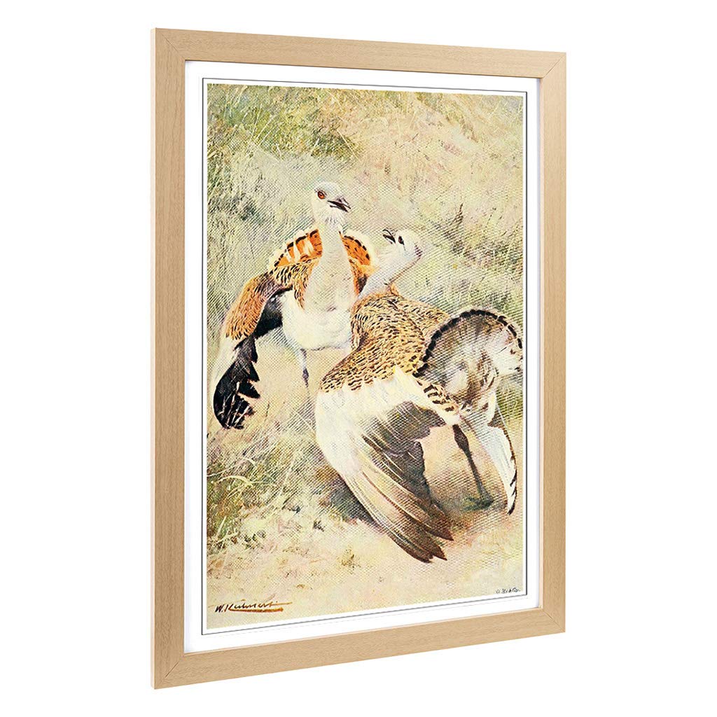 Big Box Art Framed Print of Vintage W Kuhnert Bustard Design | Wall Art Picture | Home Decor for Kitchen, Living Room, Bedroom, Hallway, Oak, A2 / 24.5x18 Inch / 62x45cm