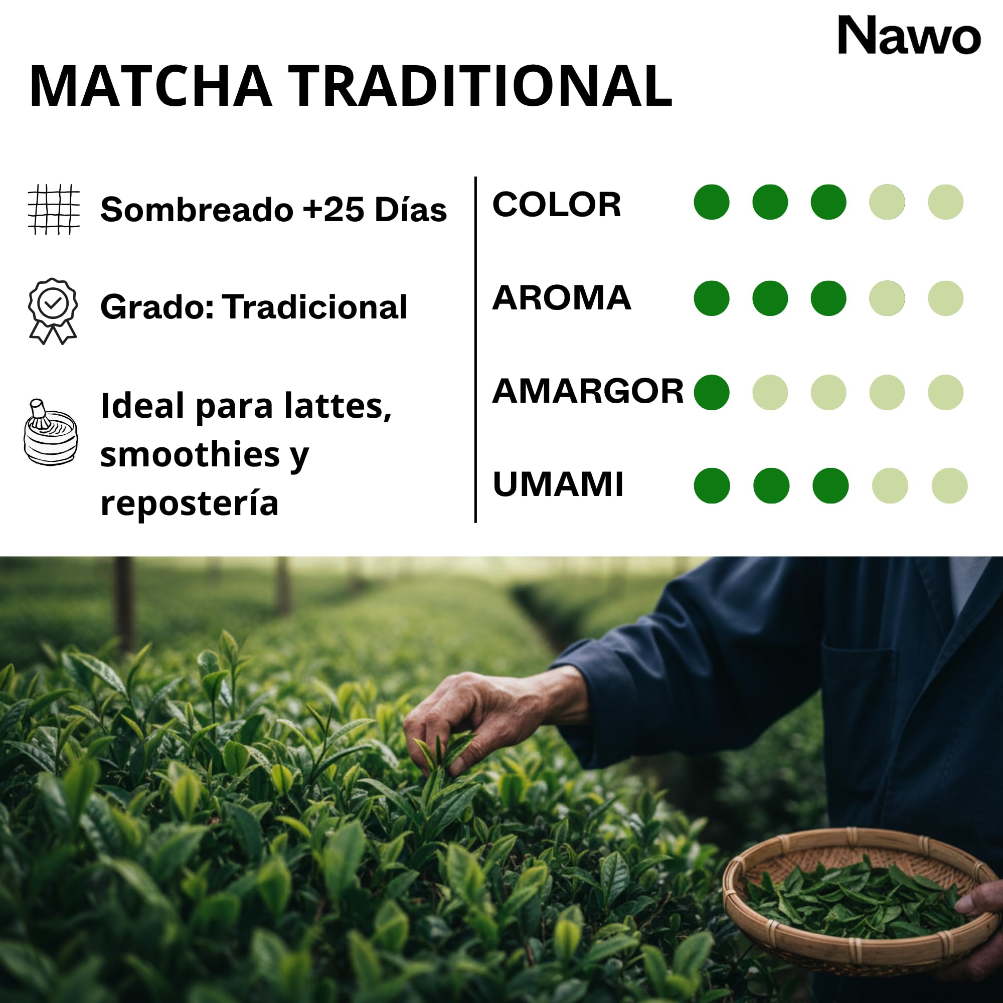 Té Matcha tradicional para Baristas – 250g, 500g & 1 kg – Té Verde en Polvo 100% Natural, Sin Azúcar, Ideal para Matcha Latte, Cafeterías y HORECA – NAWO® Routines (1 kg)