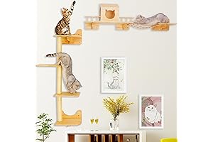 Cat Climbing Shelves Wall Mounted - A Paradise for Your Feline Friends