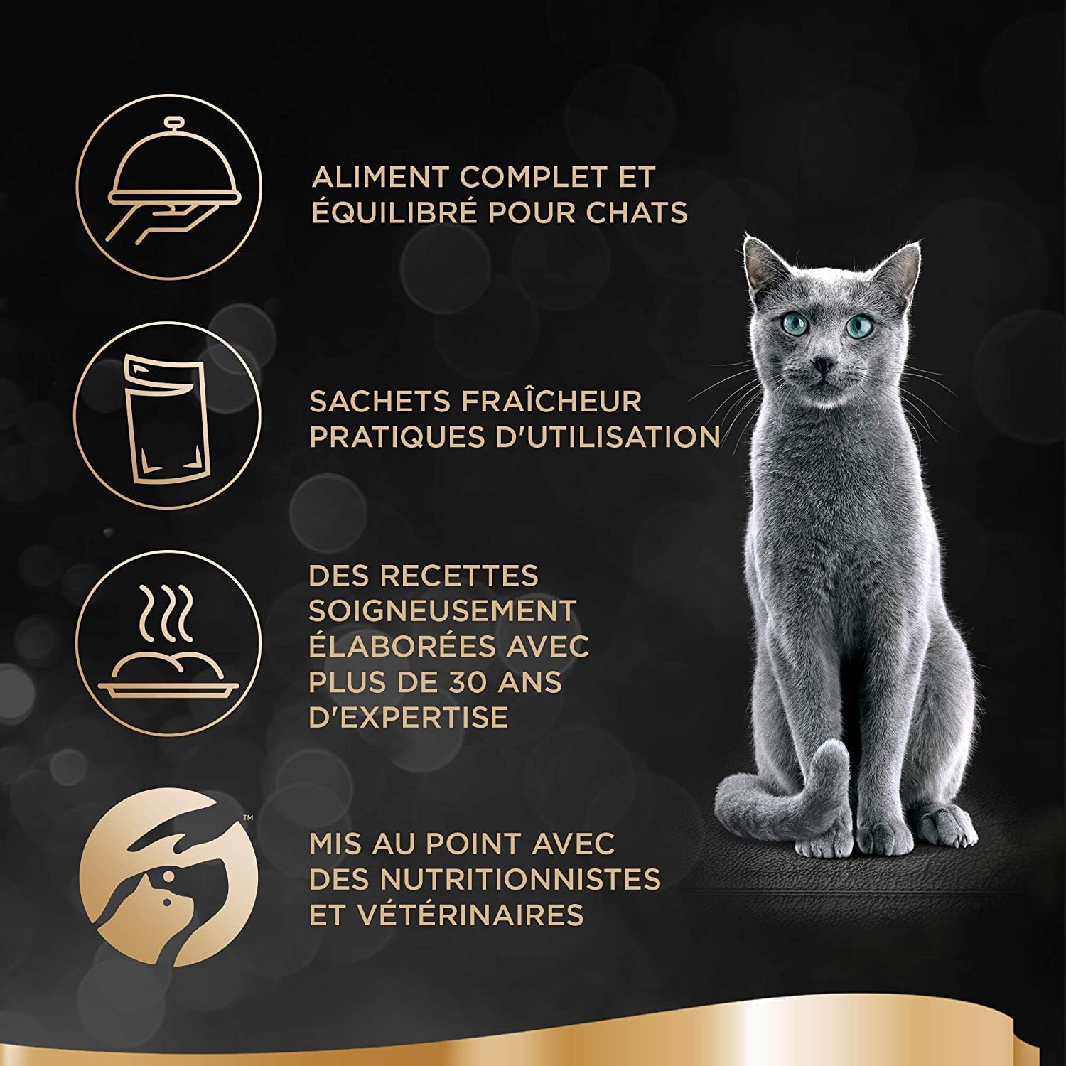 Sheba Mini Filets – Schalen für Erwachsene Katzen, Geflügel in Sauce, 6 x 12 x 85 g (Verpackung kann variieren)