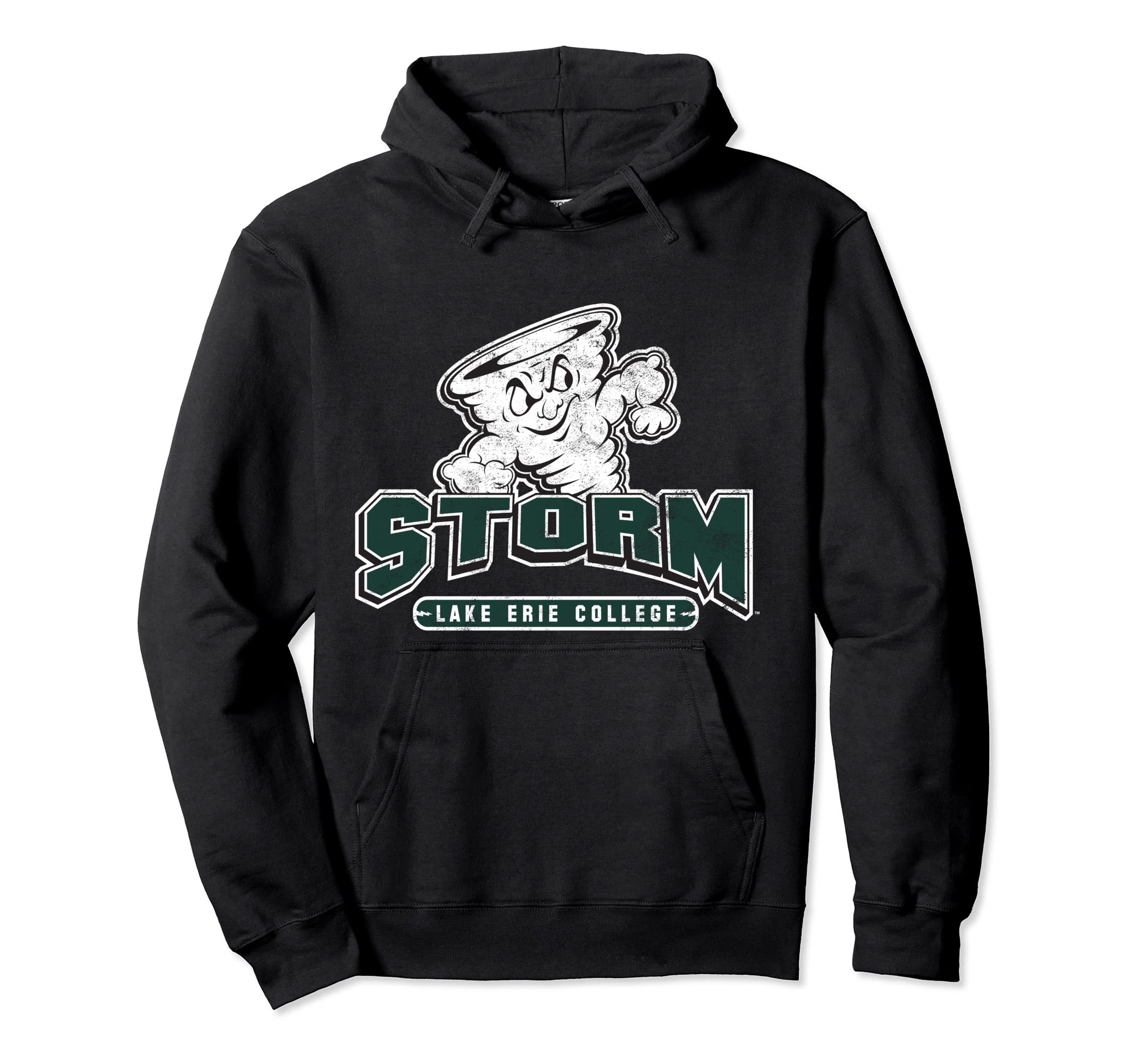 Campus LabLake Erie College LEC Storm Distressed Primary Pullover Hoodie