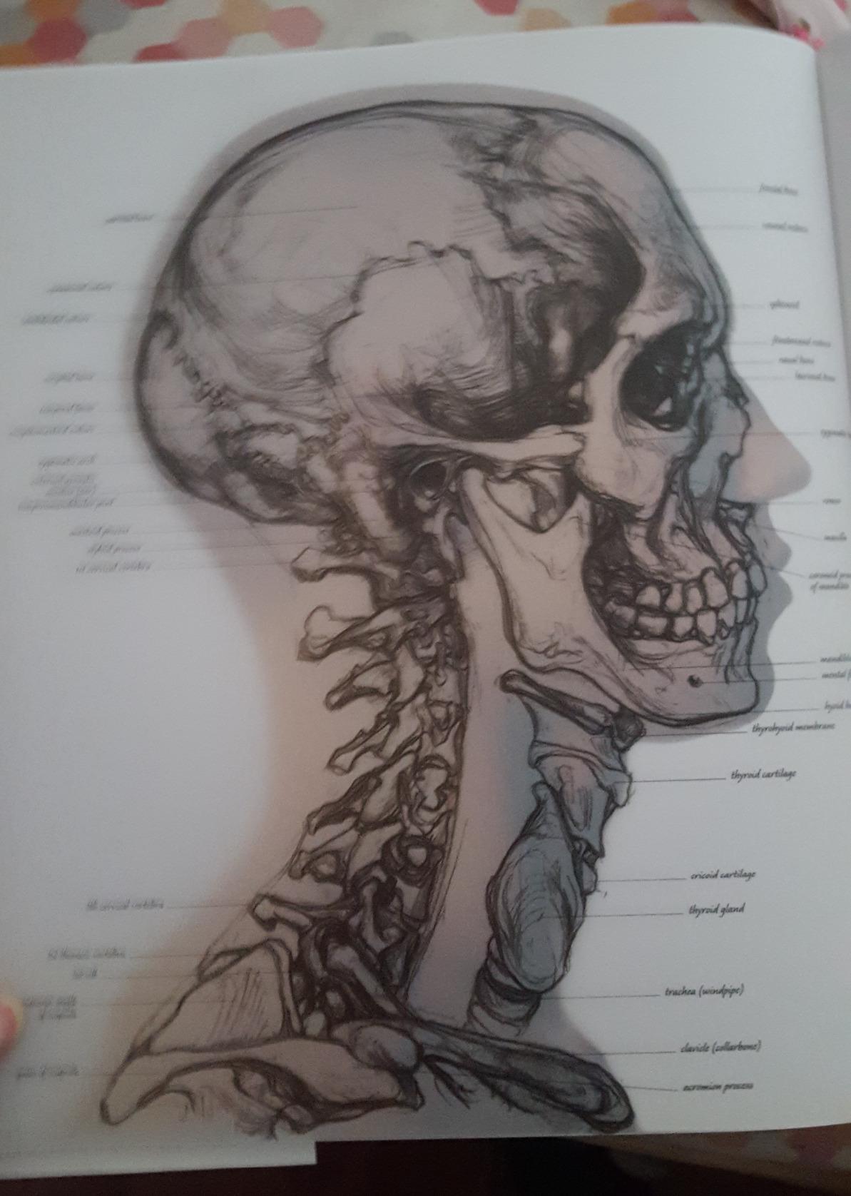 Must have for an artist's library!