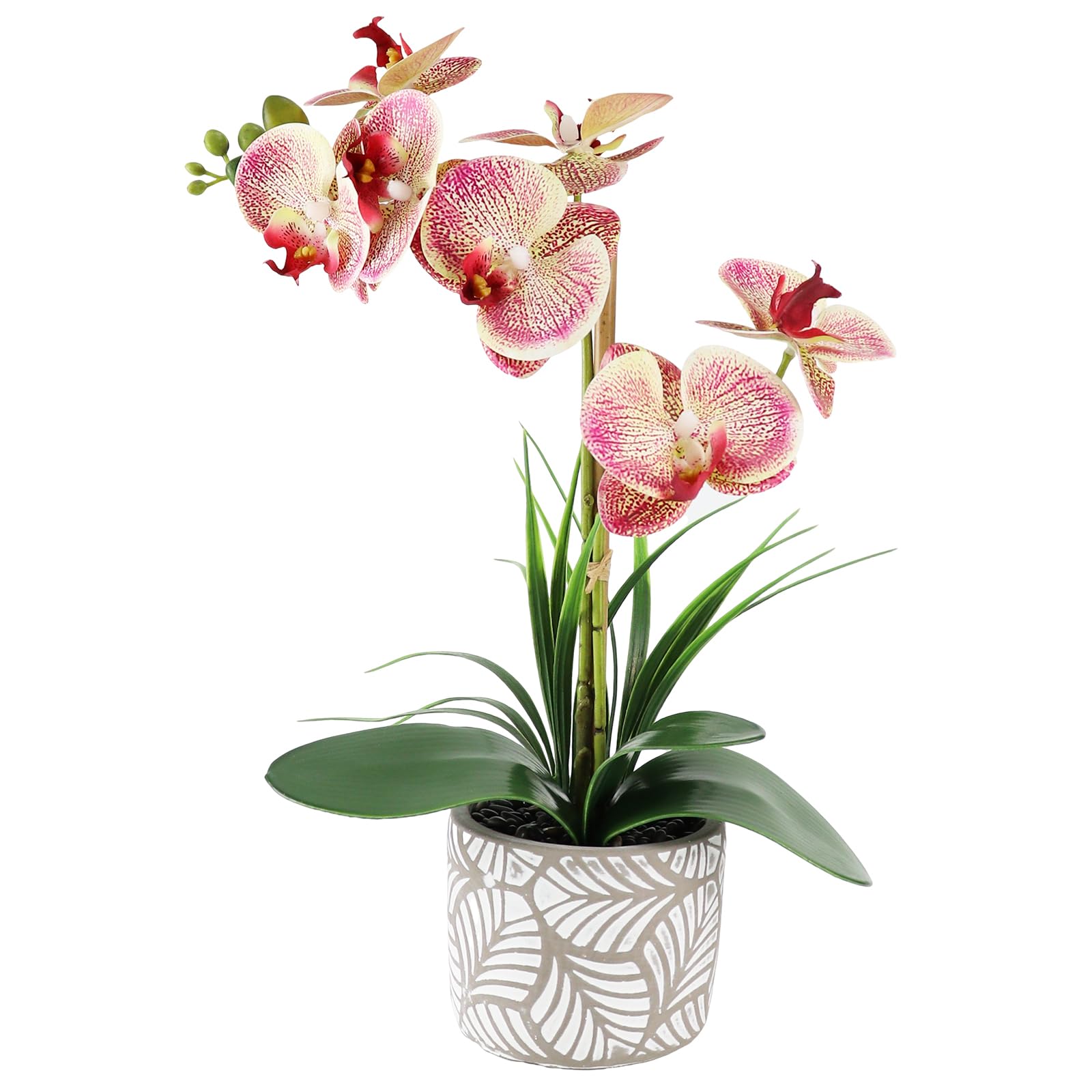 SENCOS Artificial Orchid