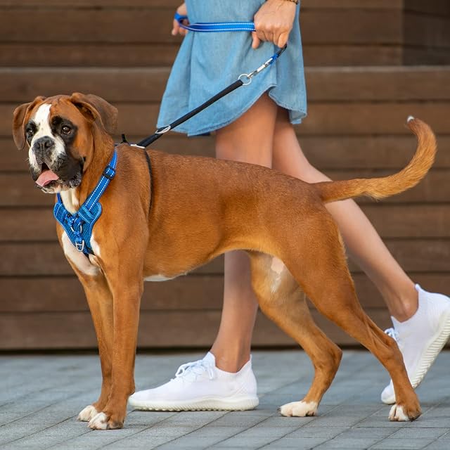 Foto 2 de 4 de Rogz Stop Pull - Arnés reflectante clásico para perro, talla XL, color azul