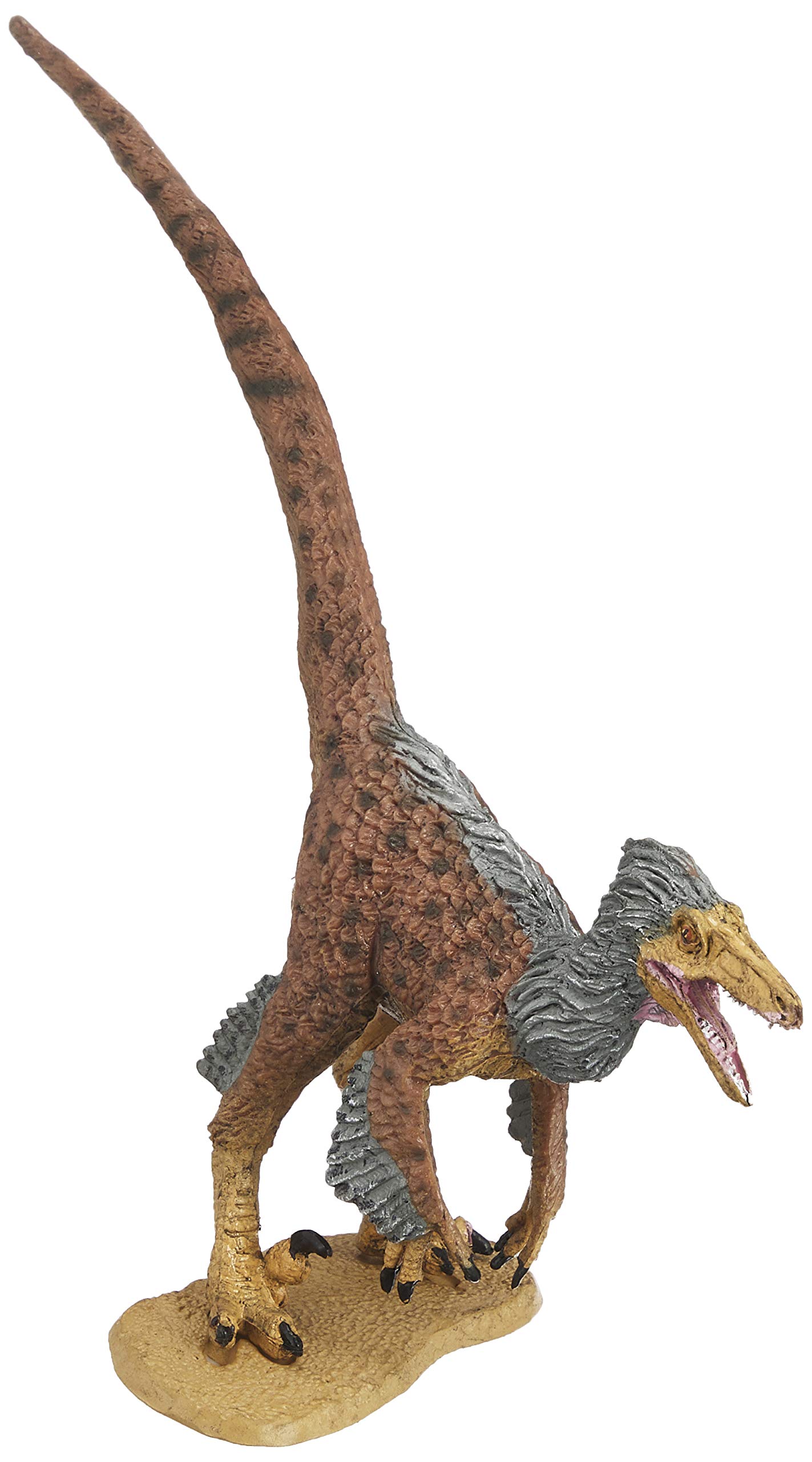 Amazon.co.jp: フェバリット ヴェロキラプトル ソフトモデル(FDW