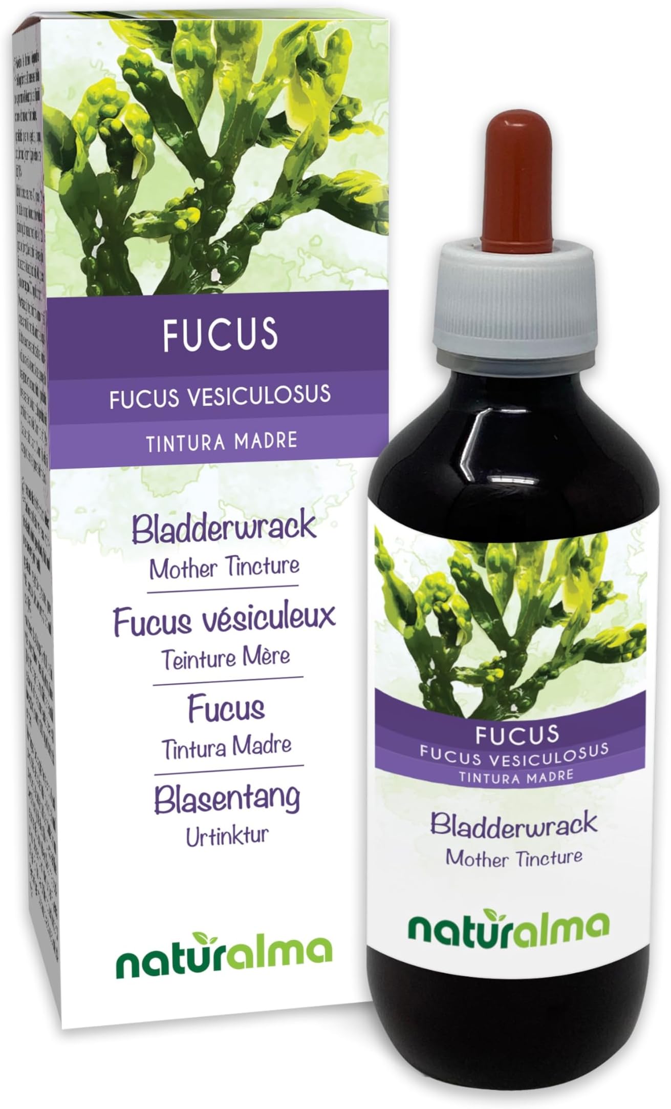 Bladderwrack or Sea Oak (Fucus vesiculosus) Thallus (Seaweed) Alcohol-Free Mother Tincture Naturalma - Liquid Extract Drops 200 ml - Food Supplement - Vegan