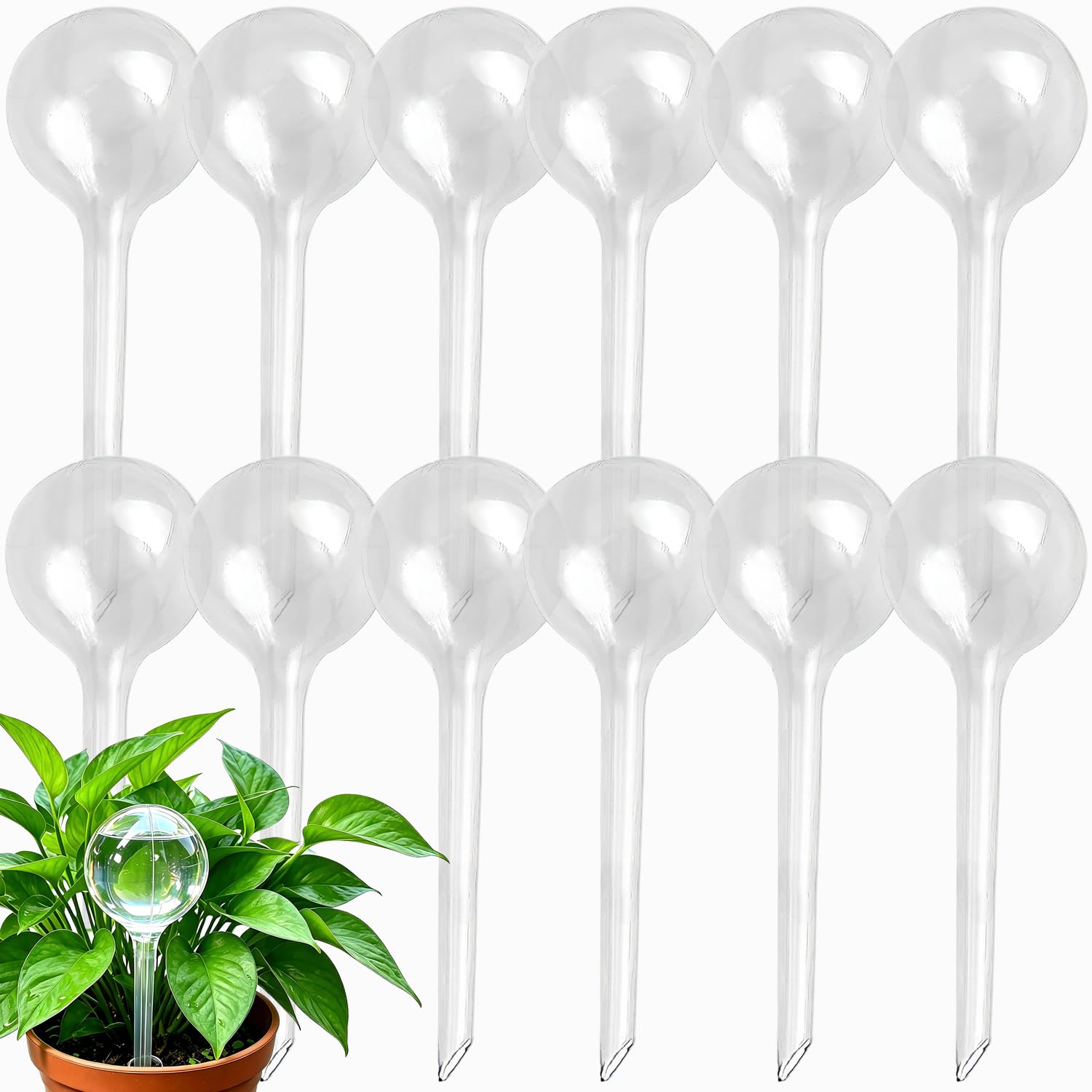 Photo 1 of Kingbow Plant Self Watering Globes (12-Pack)